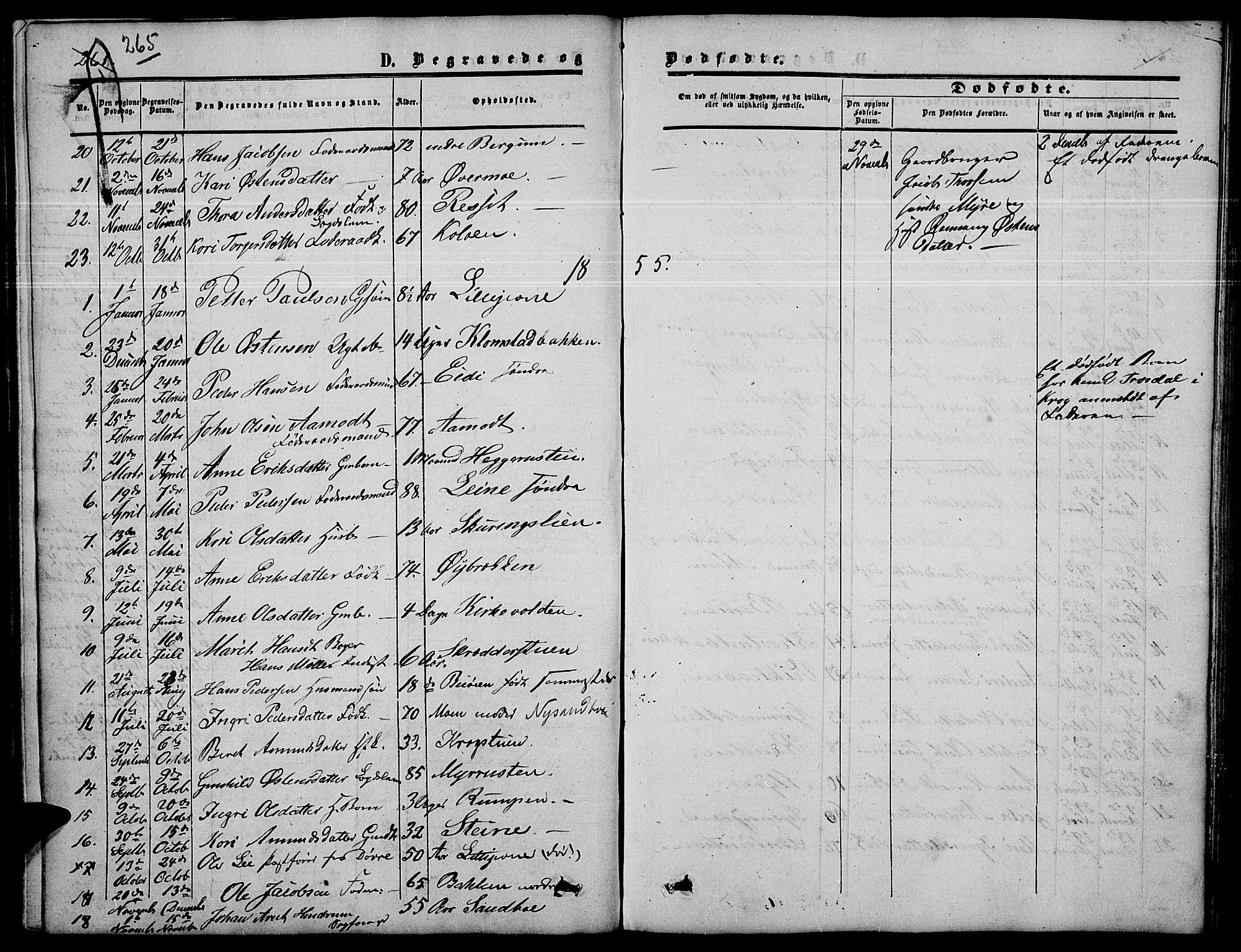 Nord-Fron prestekontor, AV/SAH-PREST-080/H/Ha/Hab/L0003: Parish register (copy) no. 3, 1851-1886, p. 265