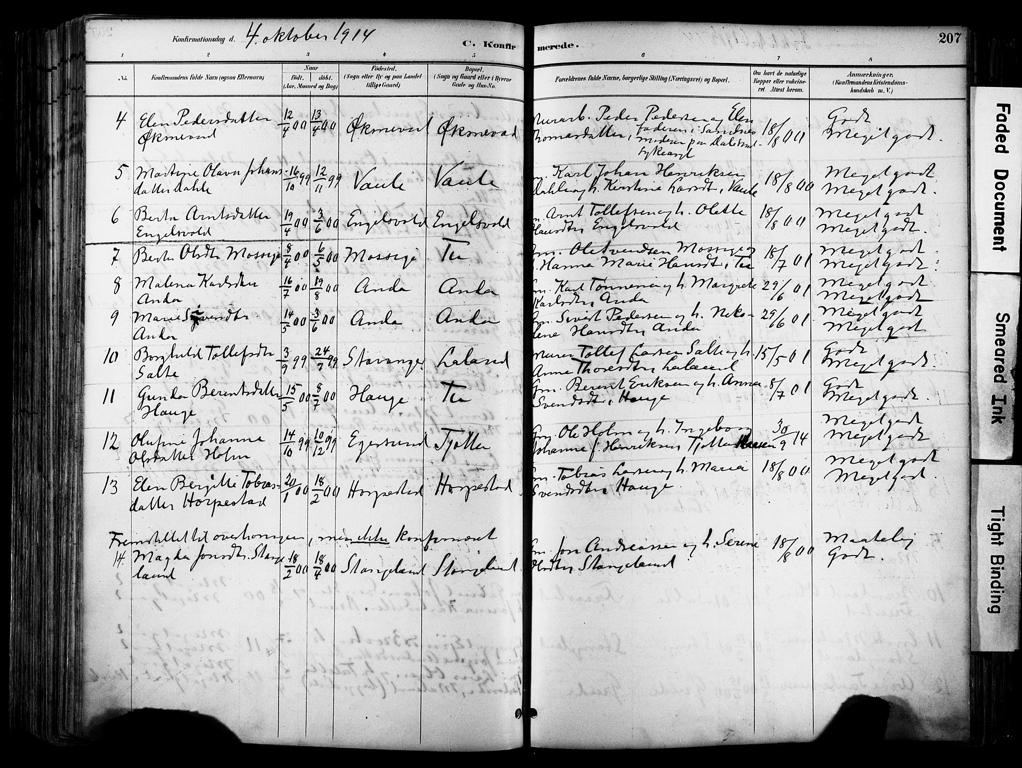 Klepp sokneprestkontor, SAST/A-101803/001/3/30BA/L0009: Parish register (official) no. A 7, 1886-1915, p. 207