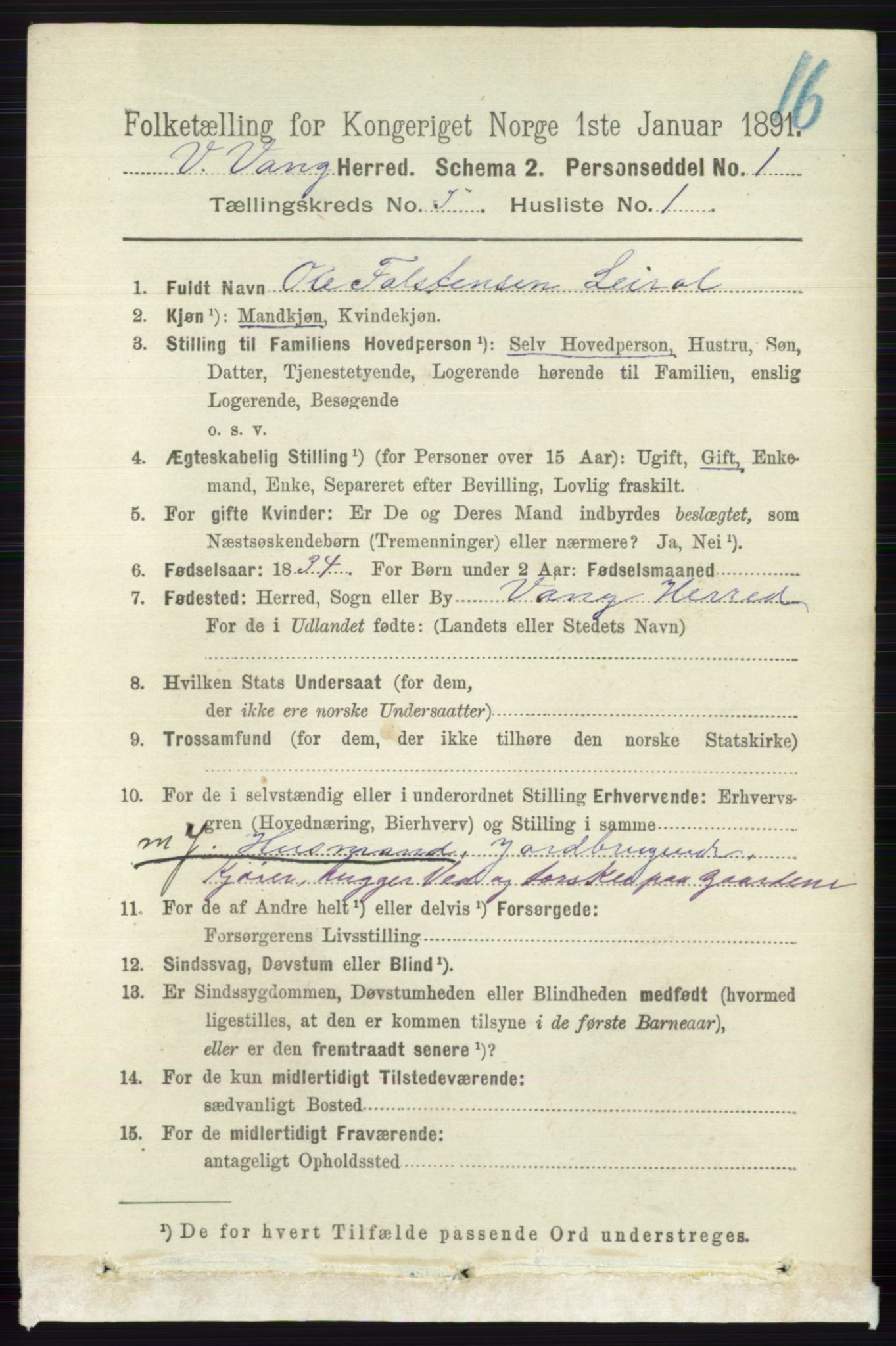 RA, 1891 census for 0545 Vang, 1891, p. 1037