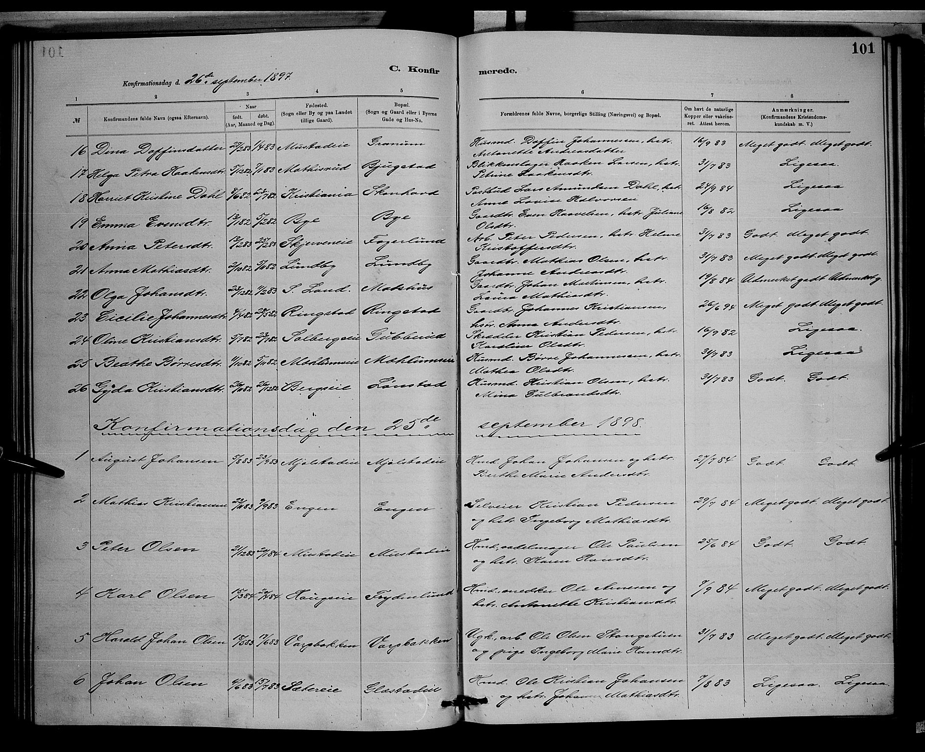 Vardal prestekontor, AV/SAH-PREST-100/H/Ha/Hab/L0008: Parish register (copy) no. 8, 1881-1898, p. 101