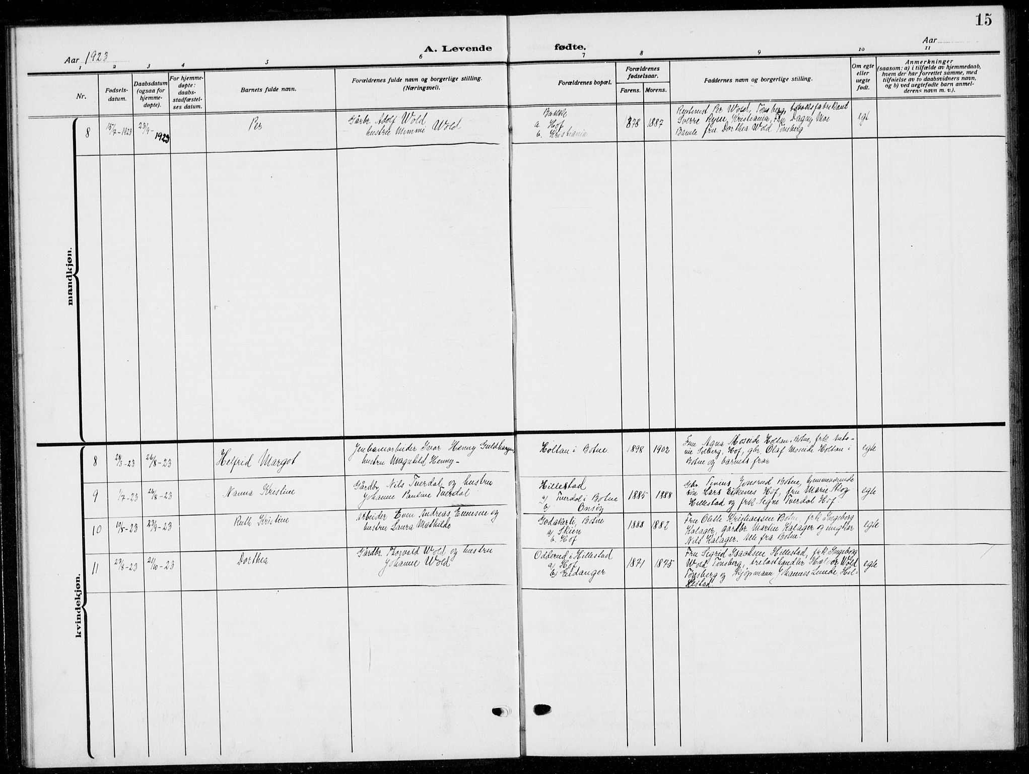 Botne kirkebøker, AV/SAKO-A-340/G/Gb/L0005: Parish register (copy) no. II 5, 1918-1936, p. 15