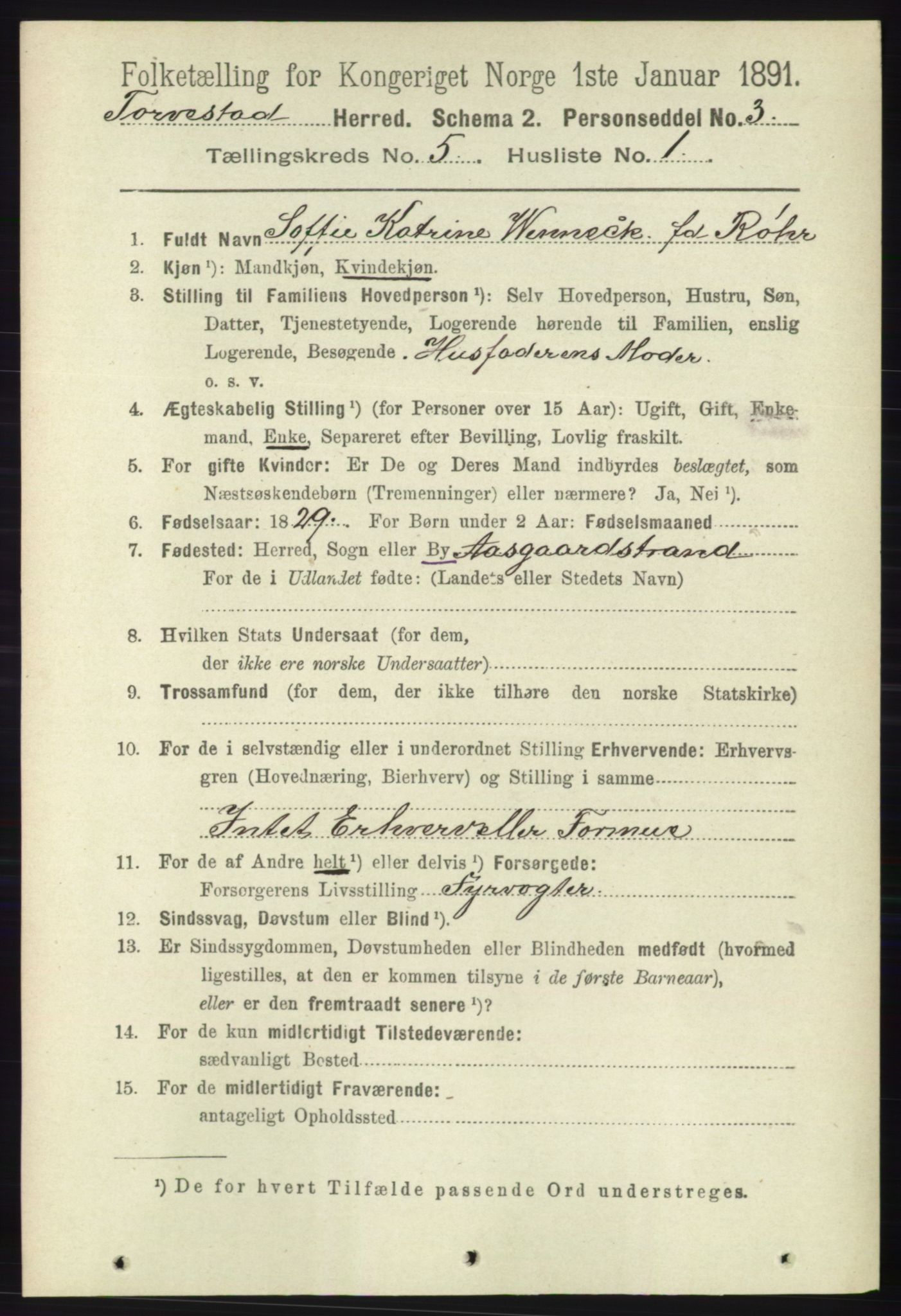 RA, 1891 census for 1152 Torvastad, 1891, p. 1758