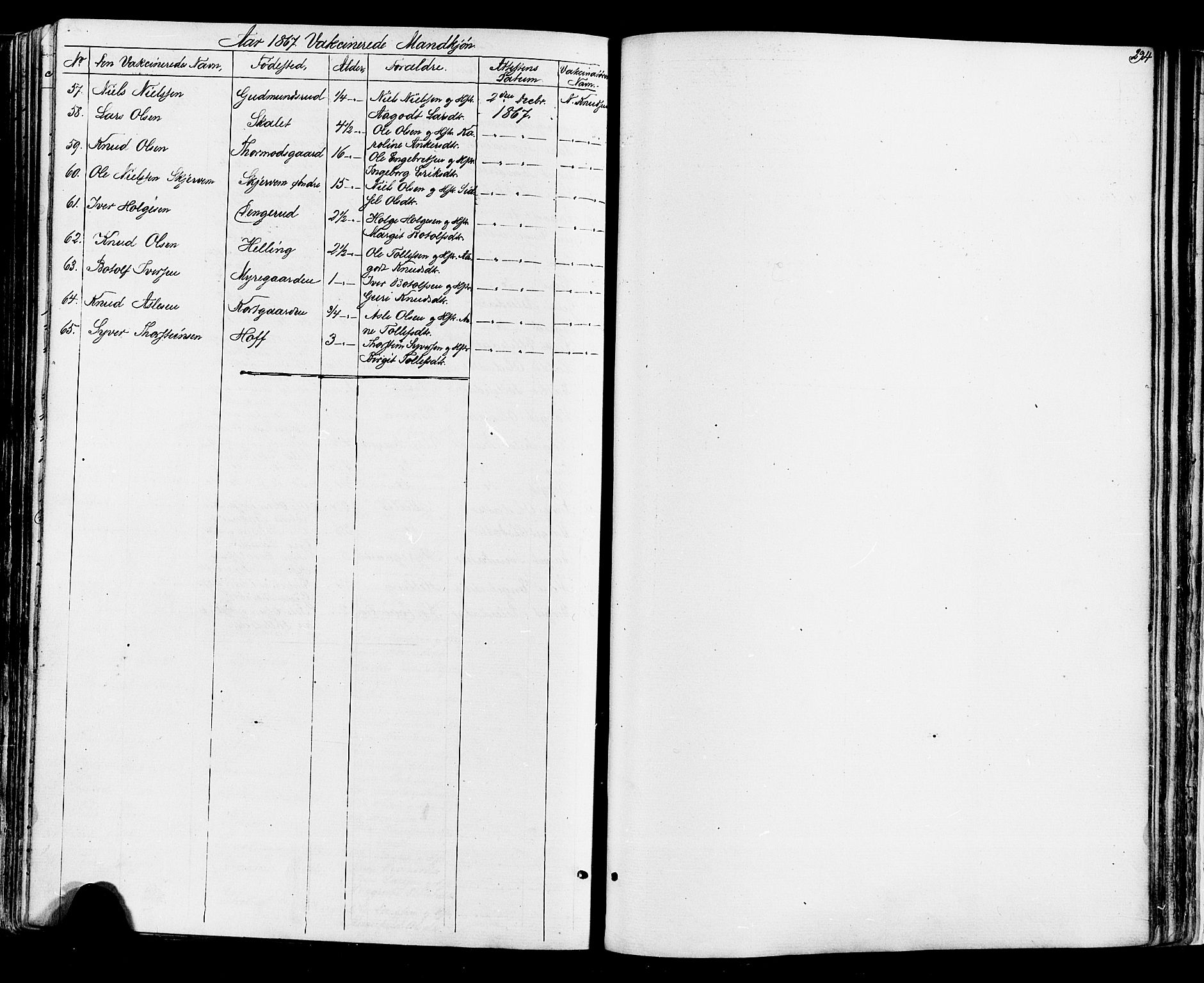 Ål kirkebøker, AV/SAKO-A-249/F/Fa/L0007: Parish register (official) no. I 7, 1865-1881, p. 294