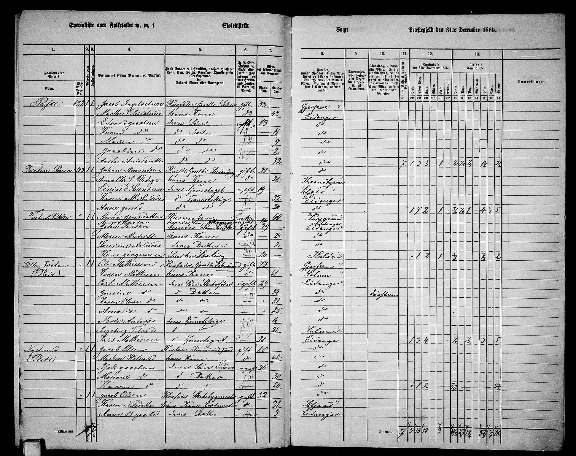 RA, 1865 census for Eidanger, 1865, p. 113