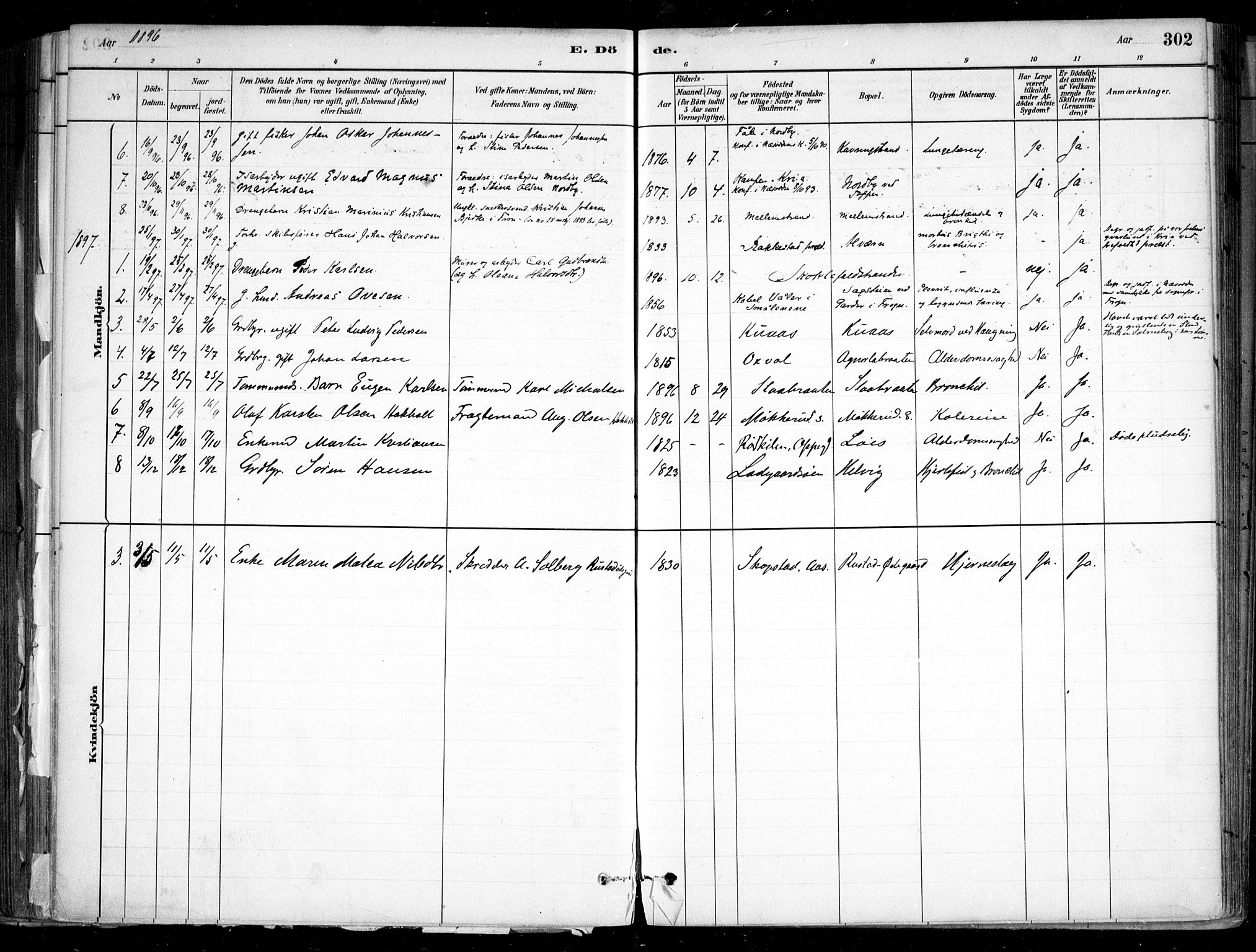 Nesodden prestekontor Kirkebøker, SAO/A-10013/F/Fa/L0009: Parish register (official) no. I 9, 1880-1915, p. 302