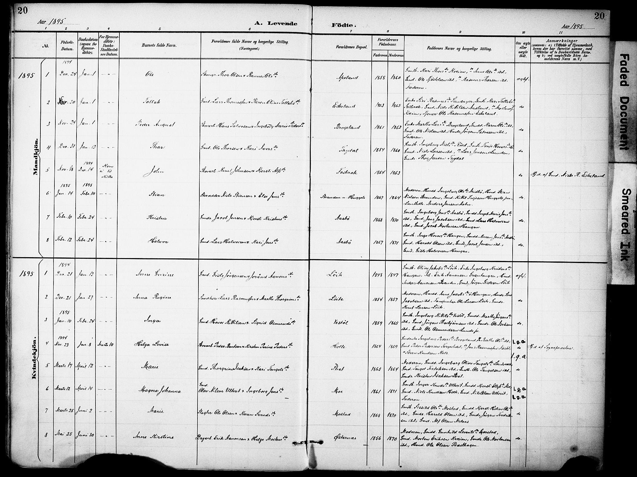 Gjerstad sokneprestkontor, AV/SAK-1111-0014/F/Fa/Faa/L0010: Parish register (official) no. A 10, 1891-1902, p. 20