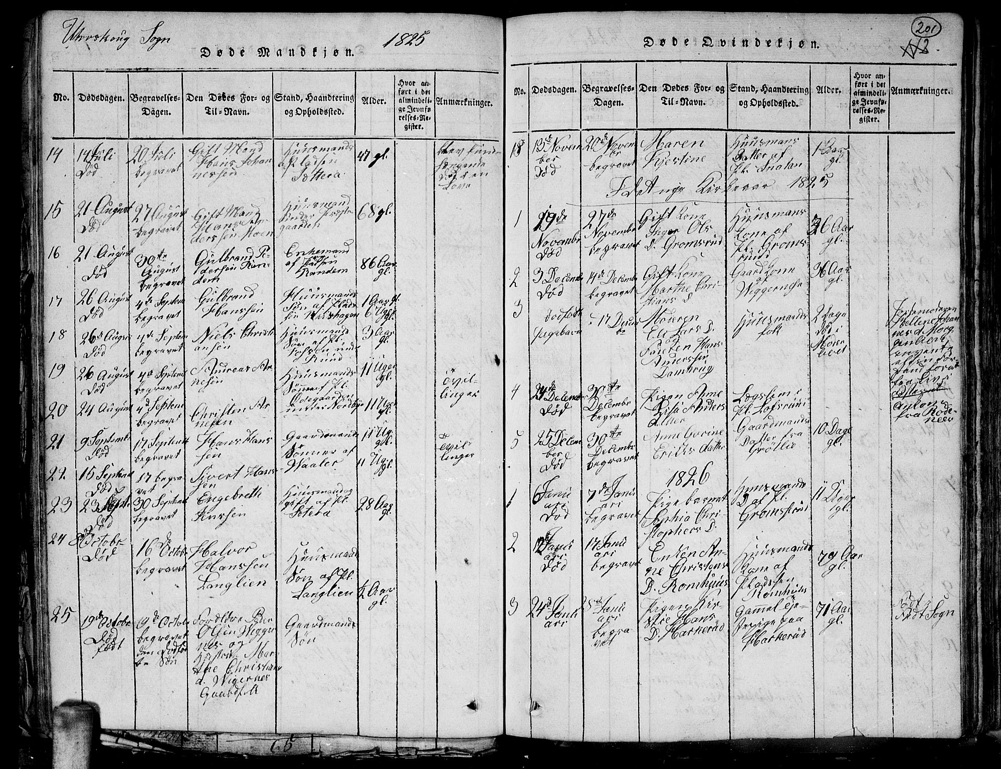 Aurskog prestekontor Kirkebøker, SAO/A-10304a/G/Ga/L0001: Parish register (copy) no. I 1, 1814-1829, p. 201