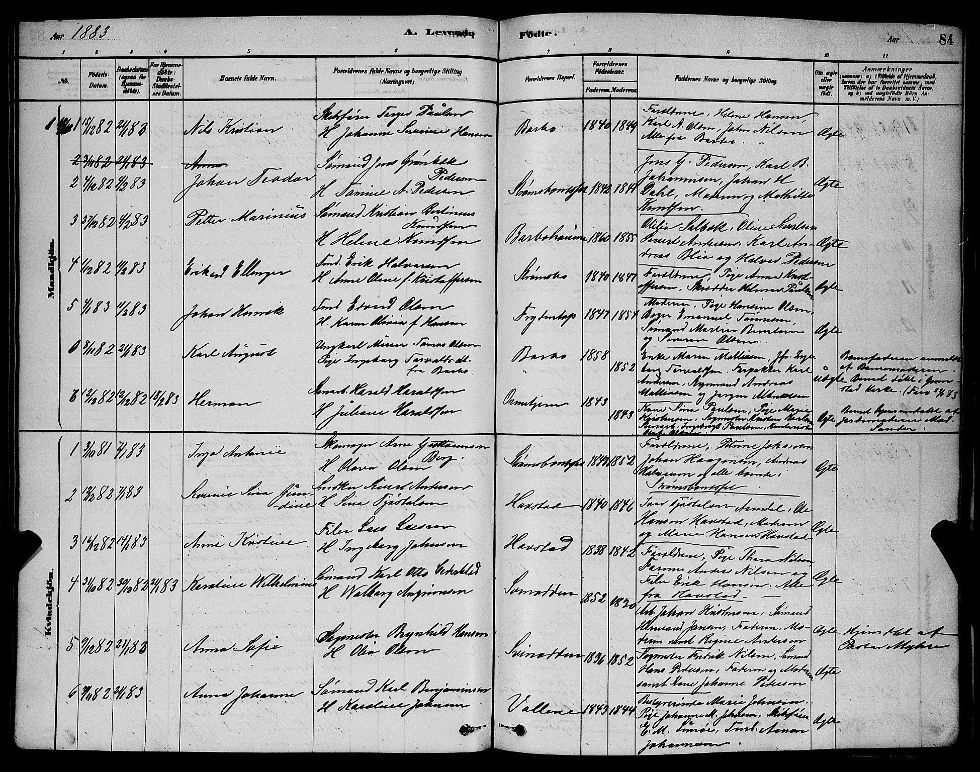 Barbu sokneprestkontor, AV/SAK-1111-0003/F/Fb/L0001: Parish register (copy) no. B 1, 1878-1890, p. 84