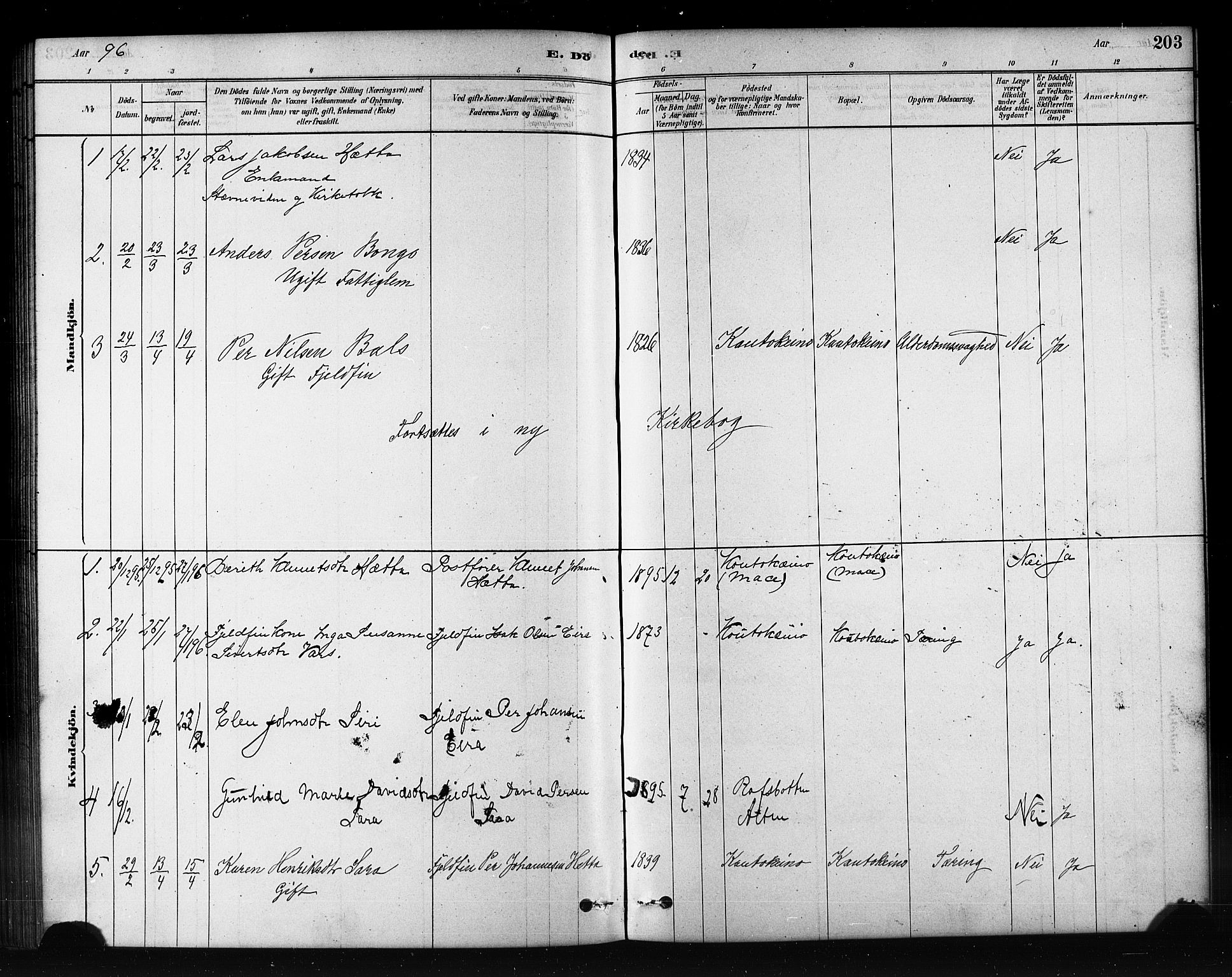 Kautokeino sokneprestembete, AV/SATØ-S-1340/H/Hb/L0002.klokk: Parish register (copy) no. 2, 1877-1896, p. 203