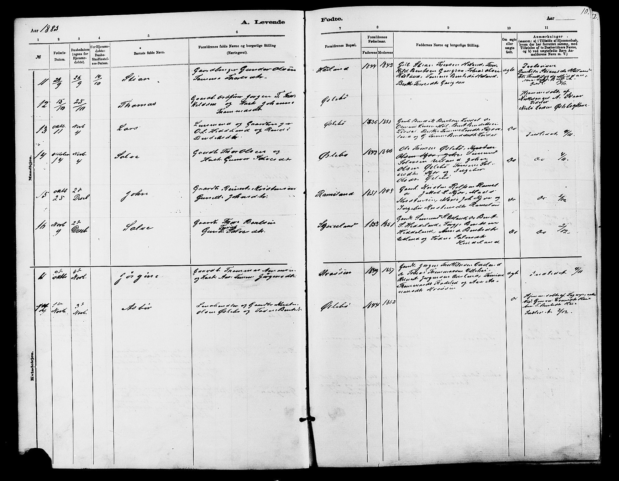 Holum sokneprestkontor, SAK/1111-0022/F/Fb/Fbc/L0003: Parish register (copy) no. B 3, 1882-1908, p. 10