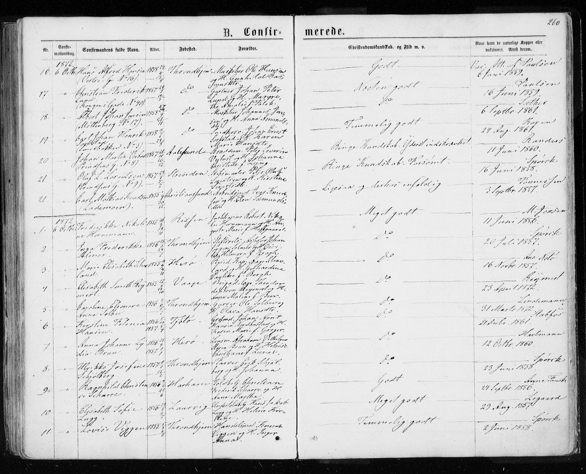 Ministerialprotokoller, klokkerbøker og fødselsregistre - Sør-Trøndelag, AV/SAT-A-1456/601/L0054: Parish register (official) no. 601A22, 1866-1877, p. 260