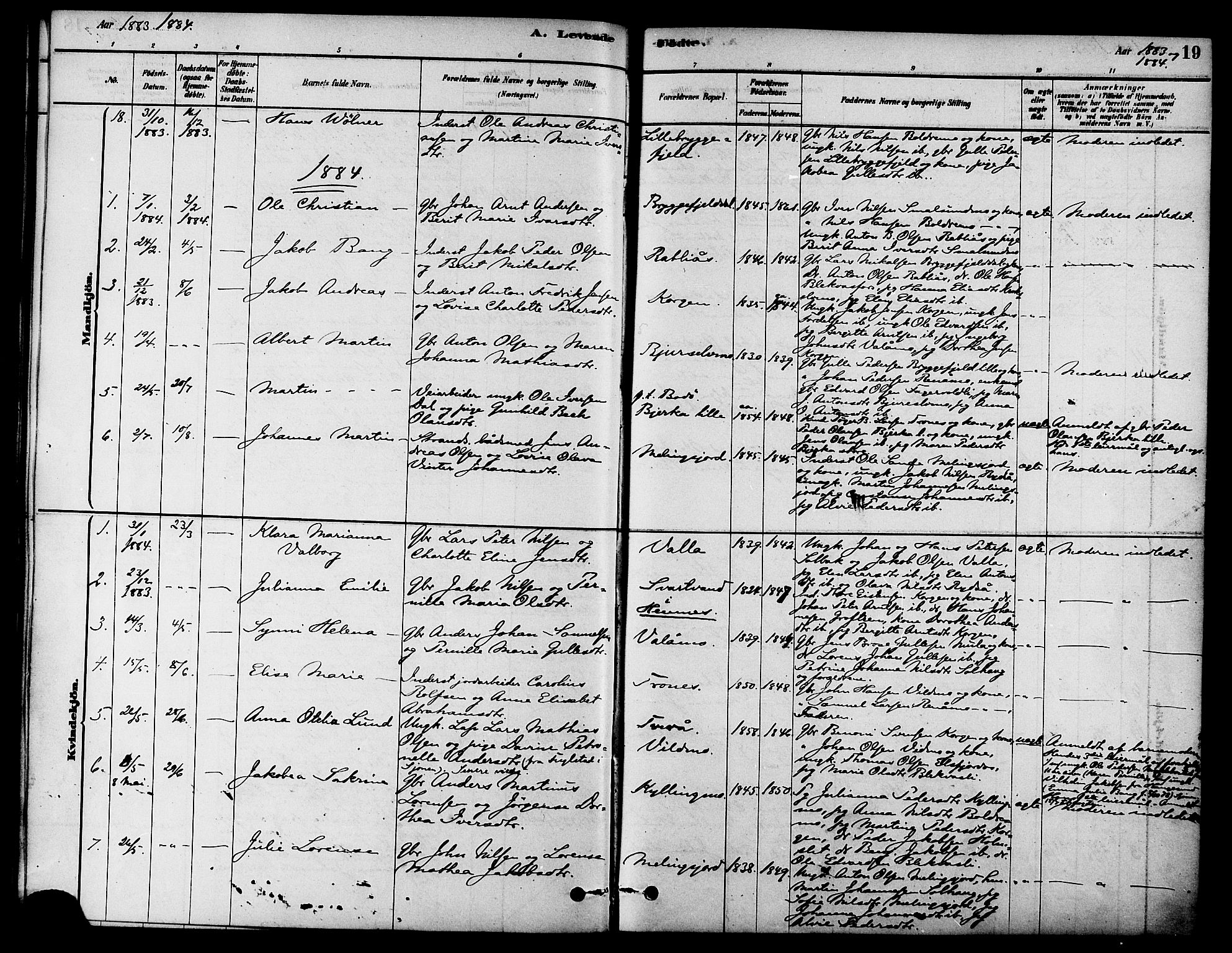 Ministerialprotokoller, klokkerbøker og fødselsregistre - Nordland, AV/SAT-A-1459/826/L0379: Parish register (official) no. 826A02, 1878-1895, p. 19