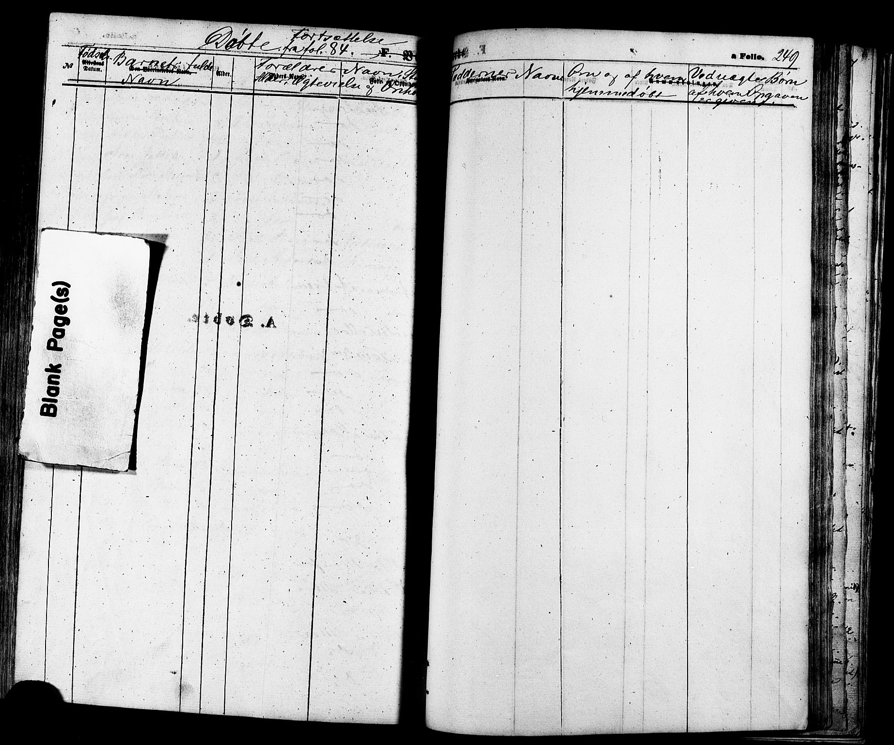 Talvik sokneprestkontor, SATØ/S-1337/H/Ha/L0011kirke: Parish register (official) no. 11, 1864-1877, p. 249