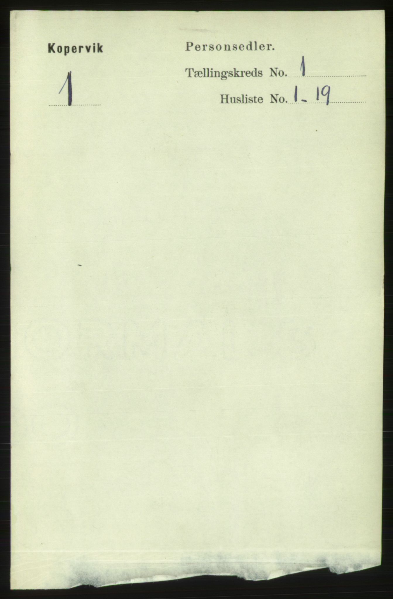 RA, 1891 census for 1105 Kopervik, 1891, p. 16