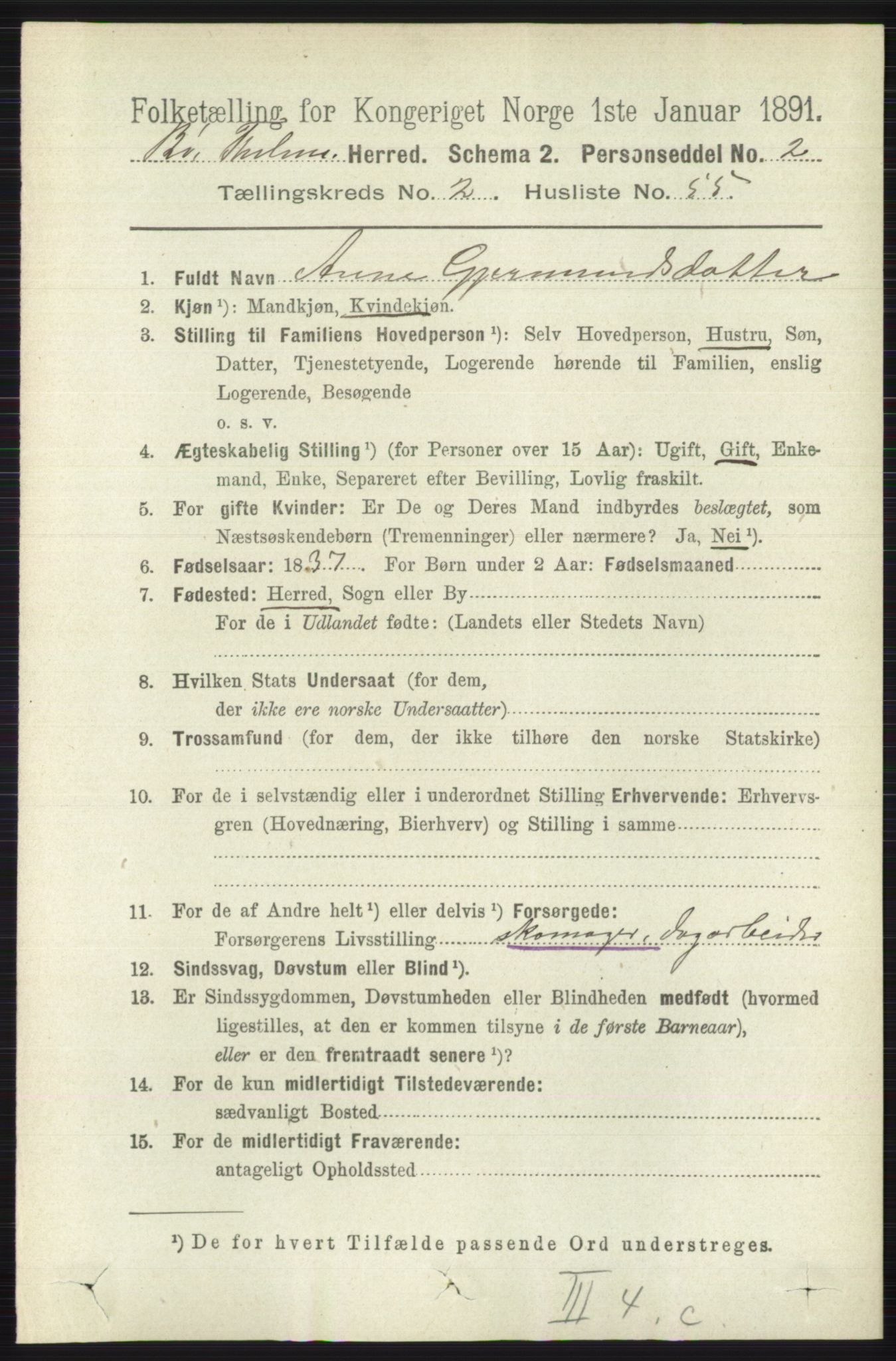 RA, 1891 census for 0821 Bø, 1891, p. 965