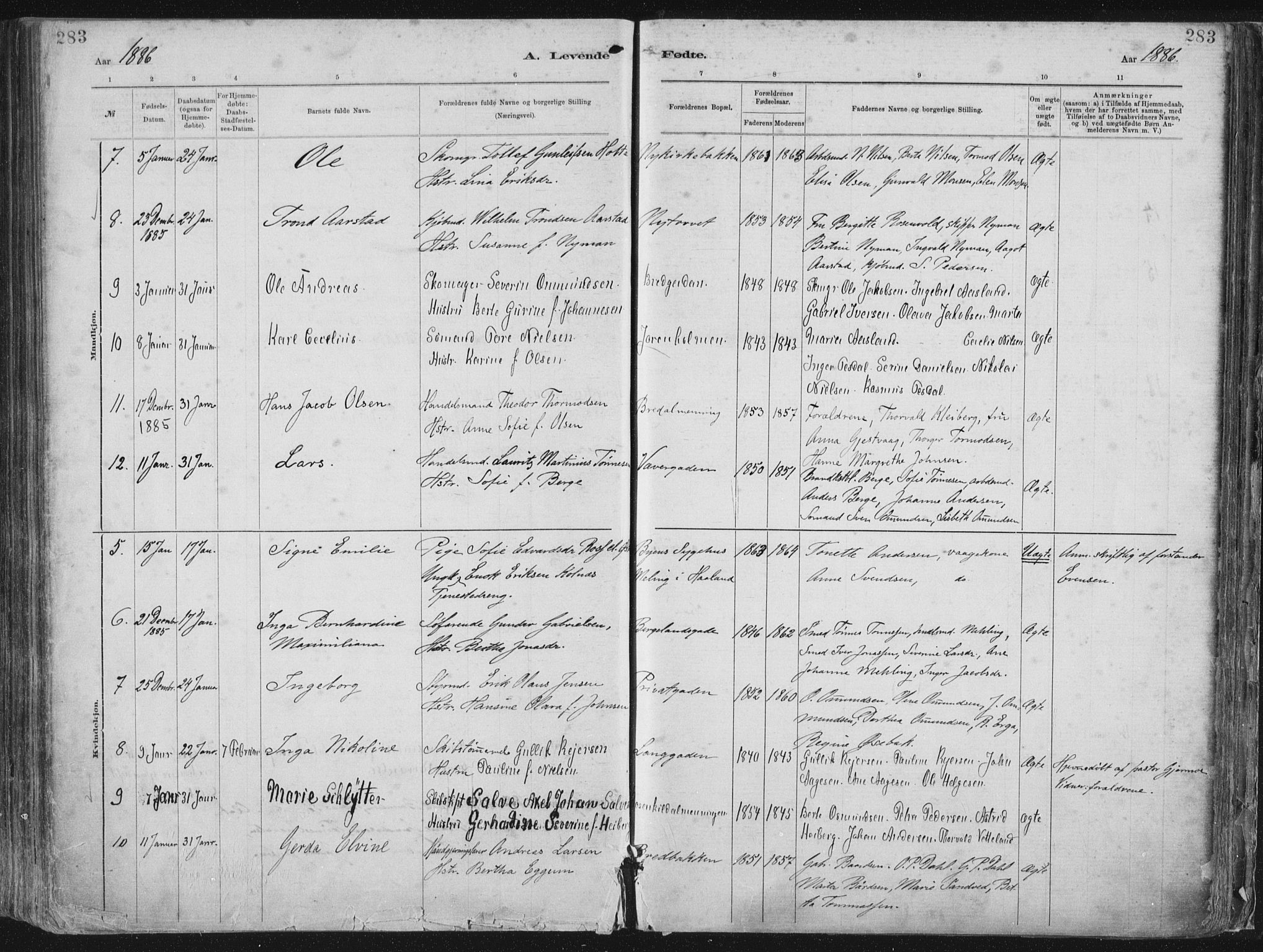 St. Petri sokneprestkontor, AV/SAST-A-101813/001/30/30BA/L0015: Parish register (official) no. A 15, 1879-1888, p. 283