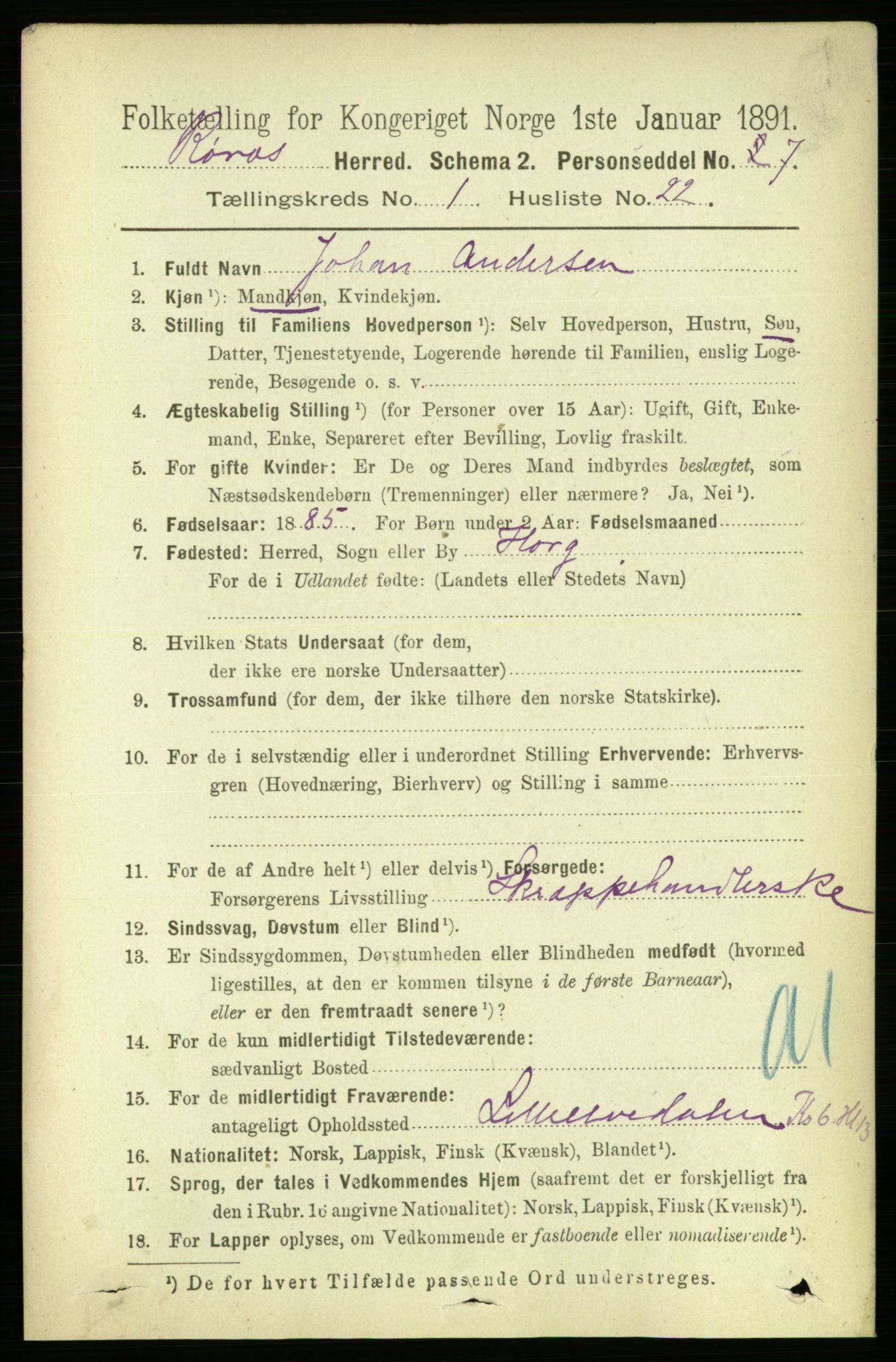 RA, 1891 census for 1640 Røros, 1891, p. 221