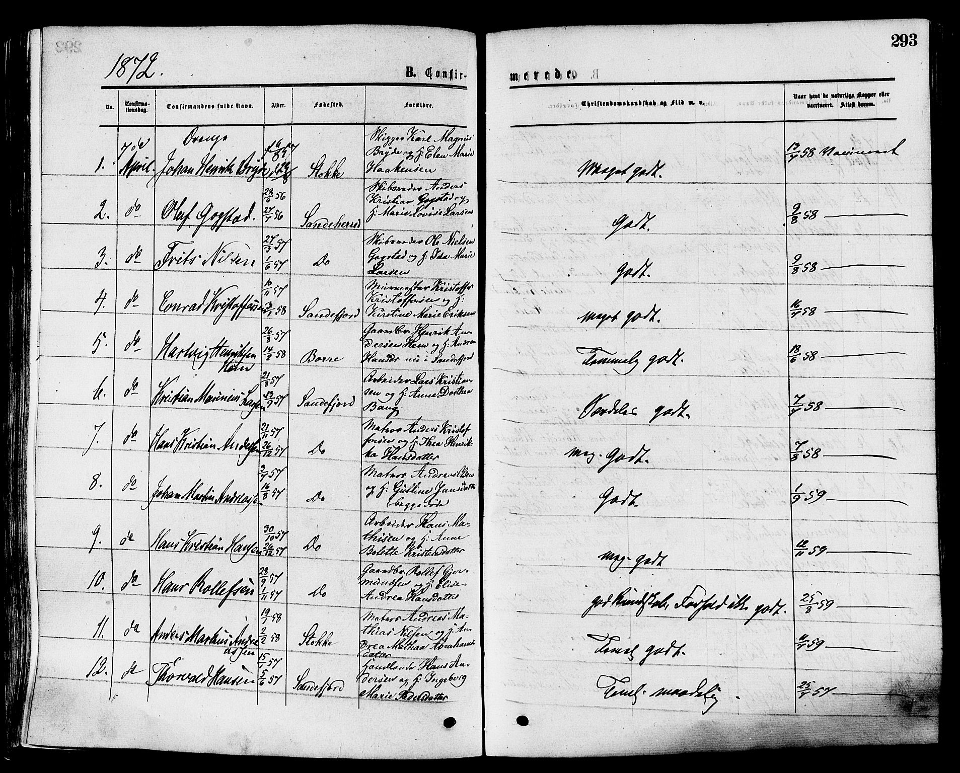 Sandar kirkebøker, SAKO/A-243/F/Fa/L0010: Parish register (official) no. 10, 1872-1882, p. 293
