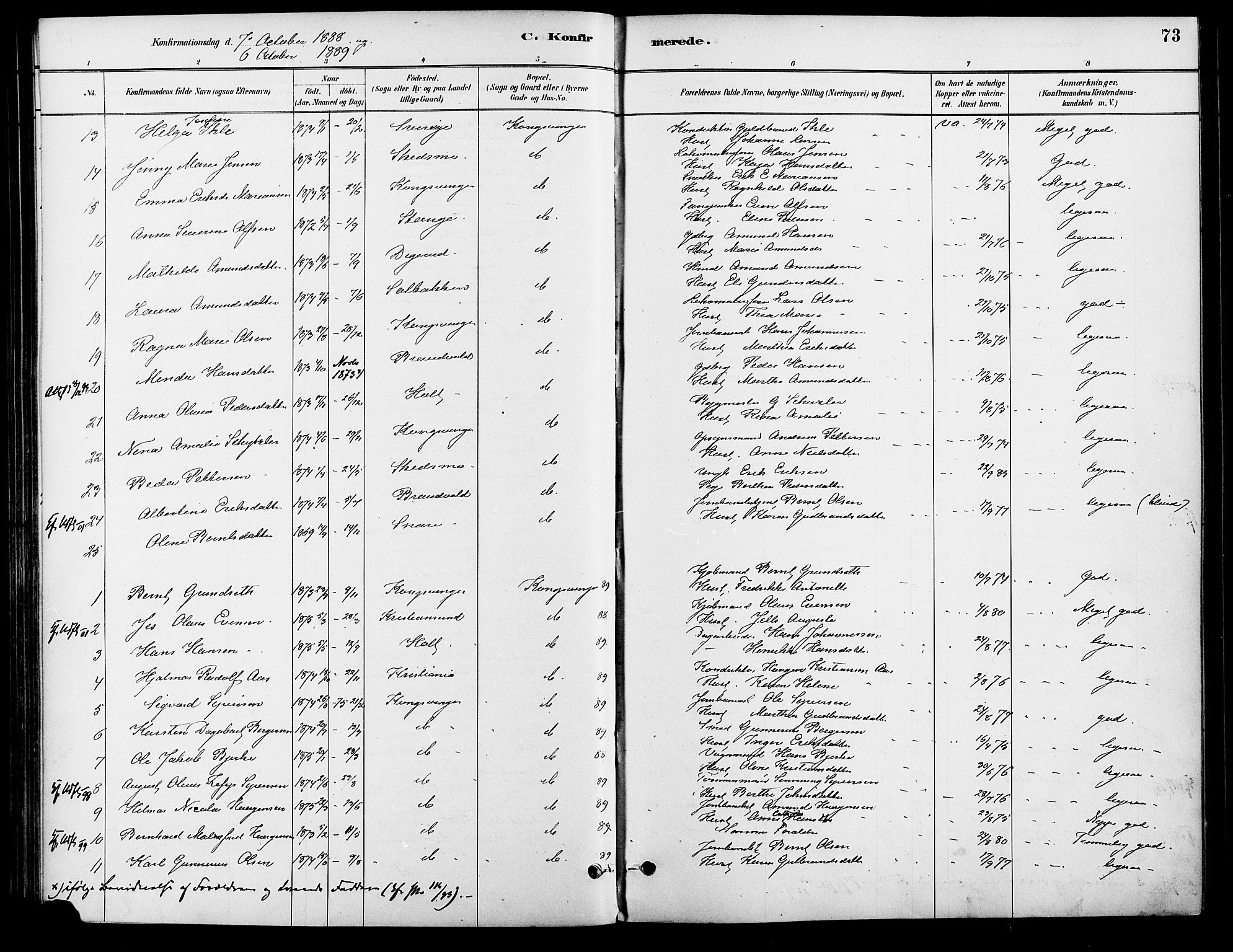 Vinger prestekontor, AV/SAH-PREST-024/H/Ha/Haa/L0013: Parish register (official) no. 13, 1881-1897, p. 73