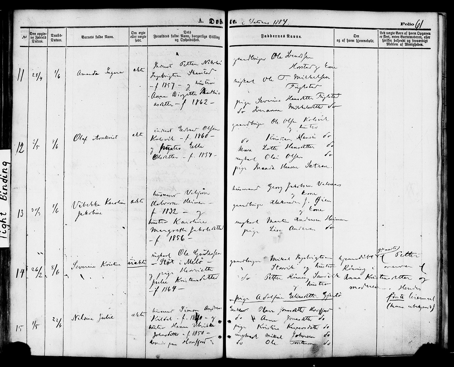 Ministerialprotokoller, klokkerbøker og fødselsregistre - Nordland, SAT/A-1459/810/L0148: Parish register (official) no. 810A09 /1, 1874-1884, p. 61