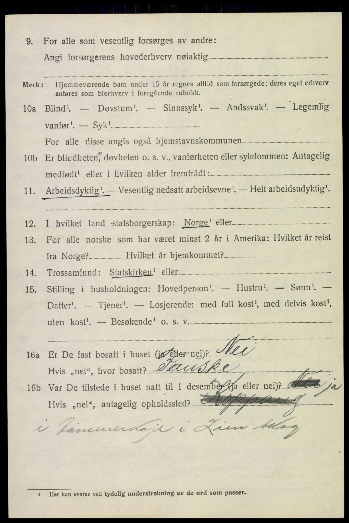 SAH, 1920 census for Ytre Rendal, 1920, p. 3906