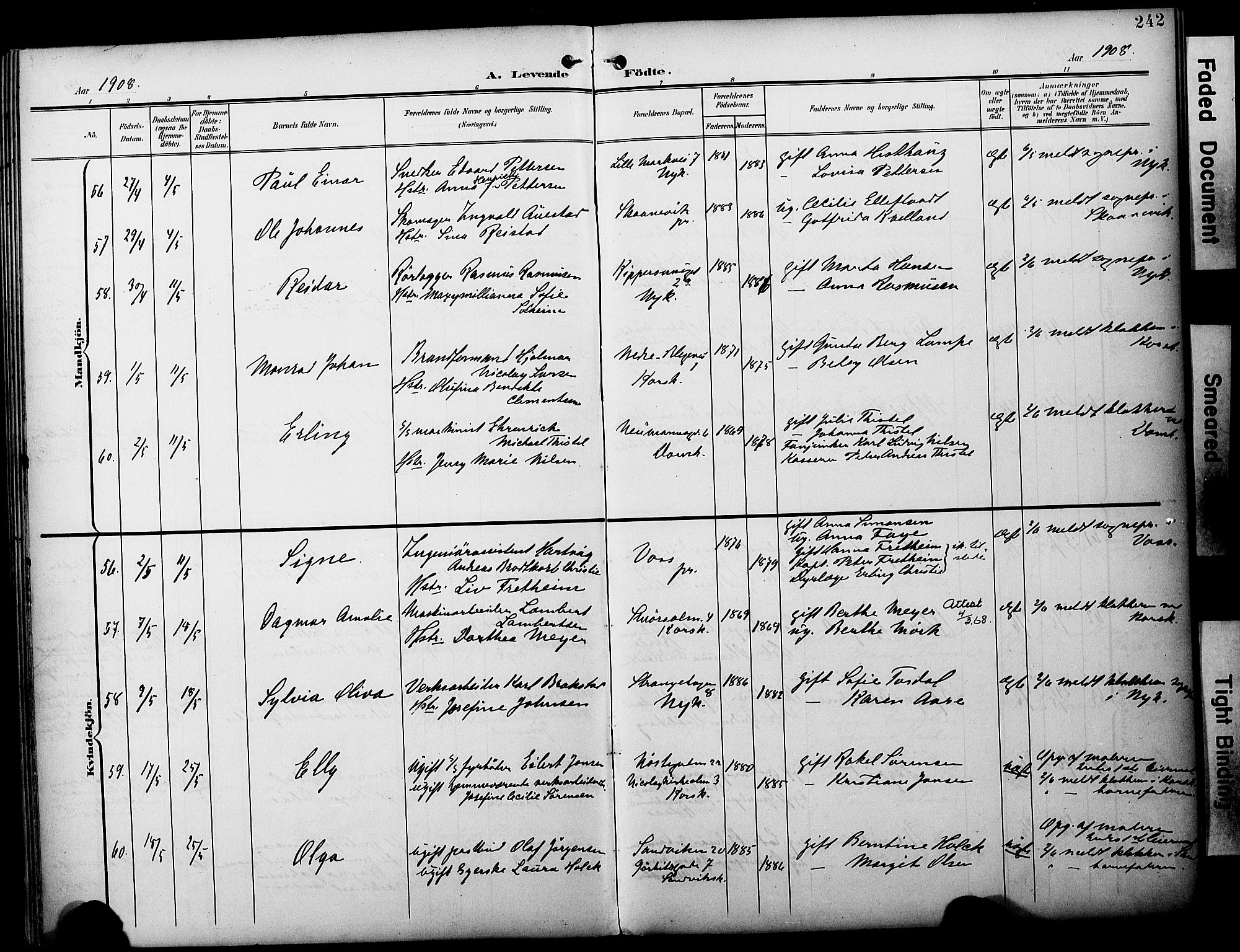 Fødselsstiftelsens sokneprestembete*, SAB/-: Parish register (official) no. A 3, 1901-1910, p. 242