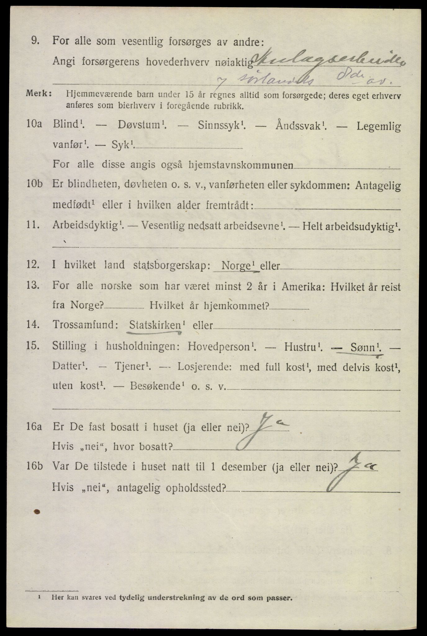 SAKO, 1920 census for Solum, 1920, p. 4203