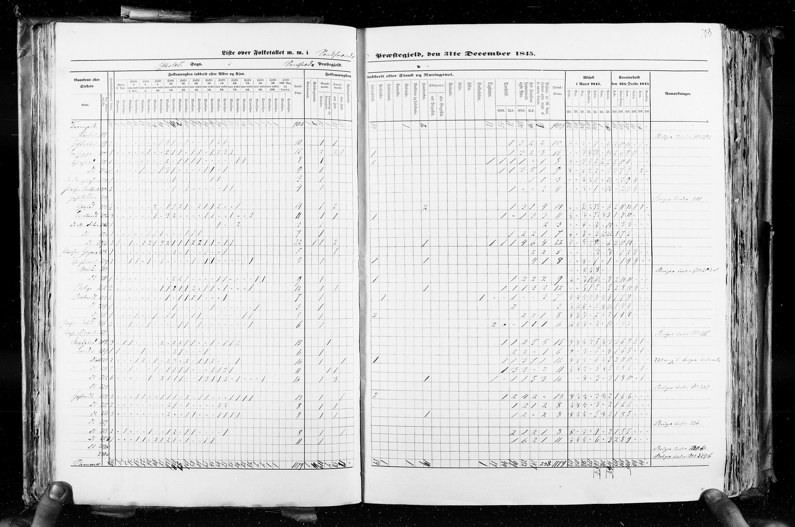 RA, Census 1845, vol. 4: Buskerud amt og Jarlsberg og Larvik amt, 1845, p. 103