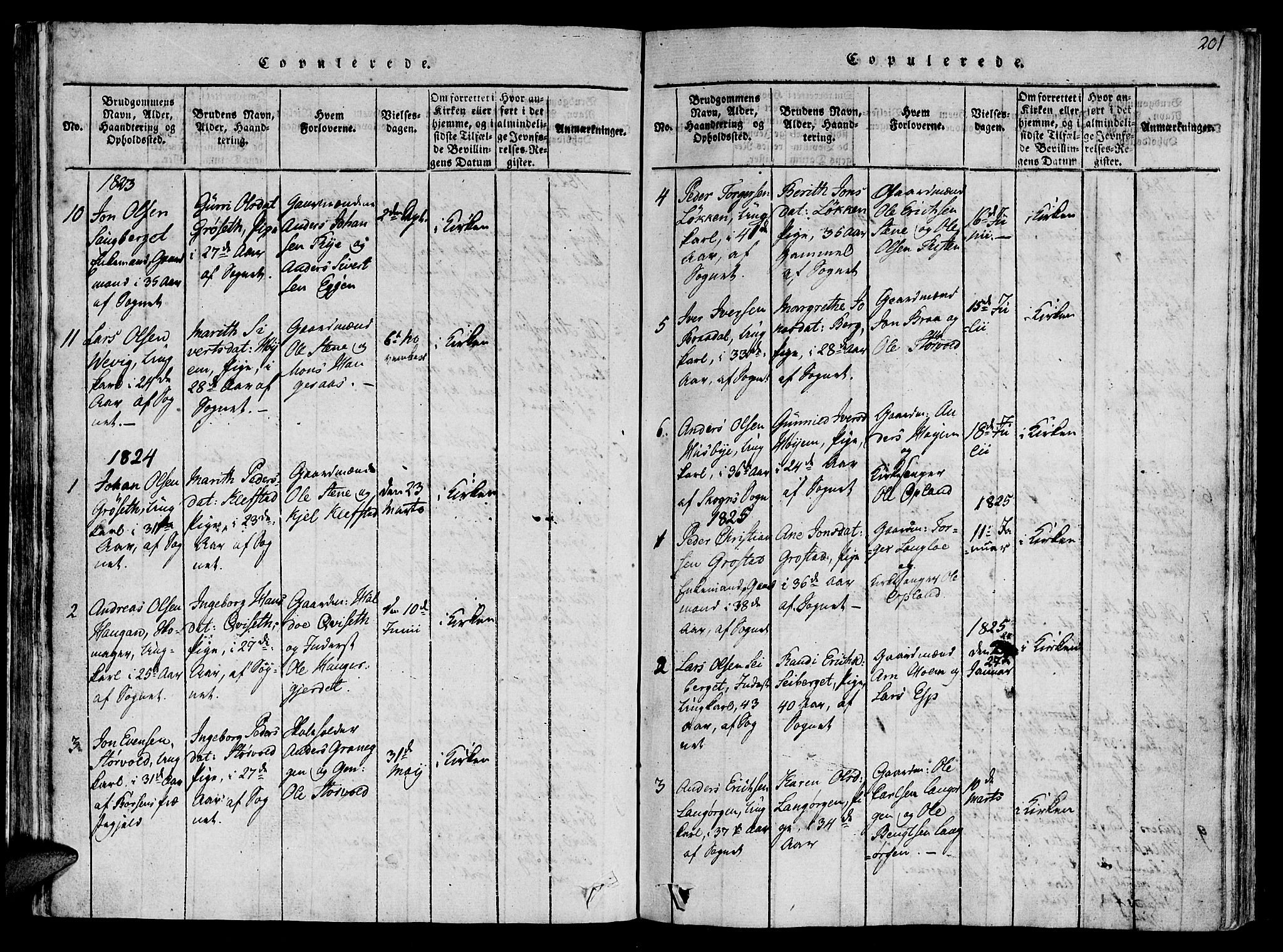 Ministerialprotokoller, klokkerbøker og fødselsregistre - Sør-Trøndelag, SAT/A-1456/612/L0372: Parish register (official) no. 612A06 /1, 1816-1828, p. 201
