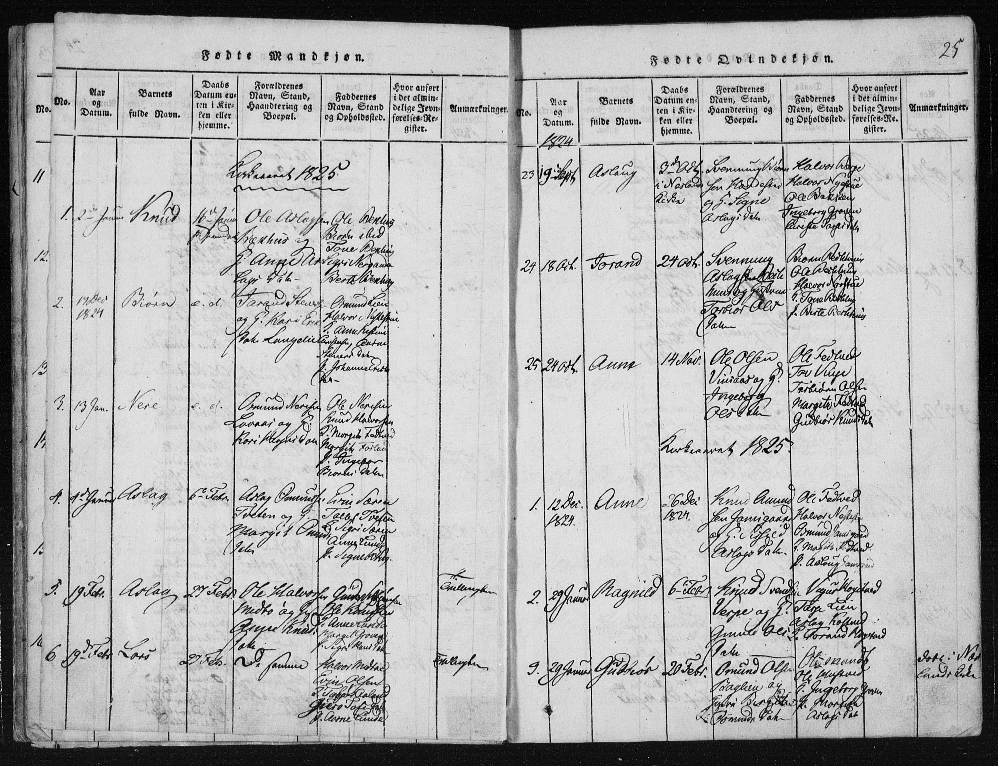 Vinje kirkebøker, SAKO/A-312/F/Fa/L0003: Parish register (official) no. I 3, 1814-1843, p. 25
