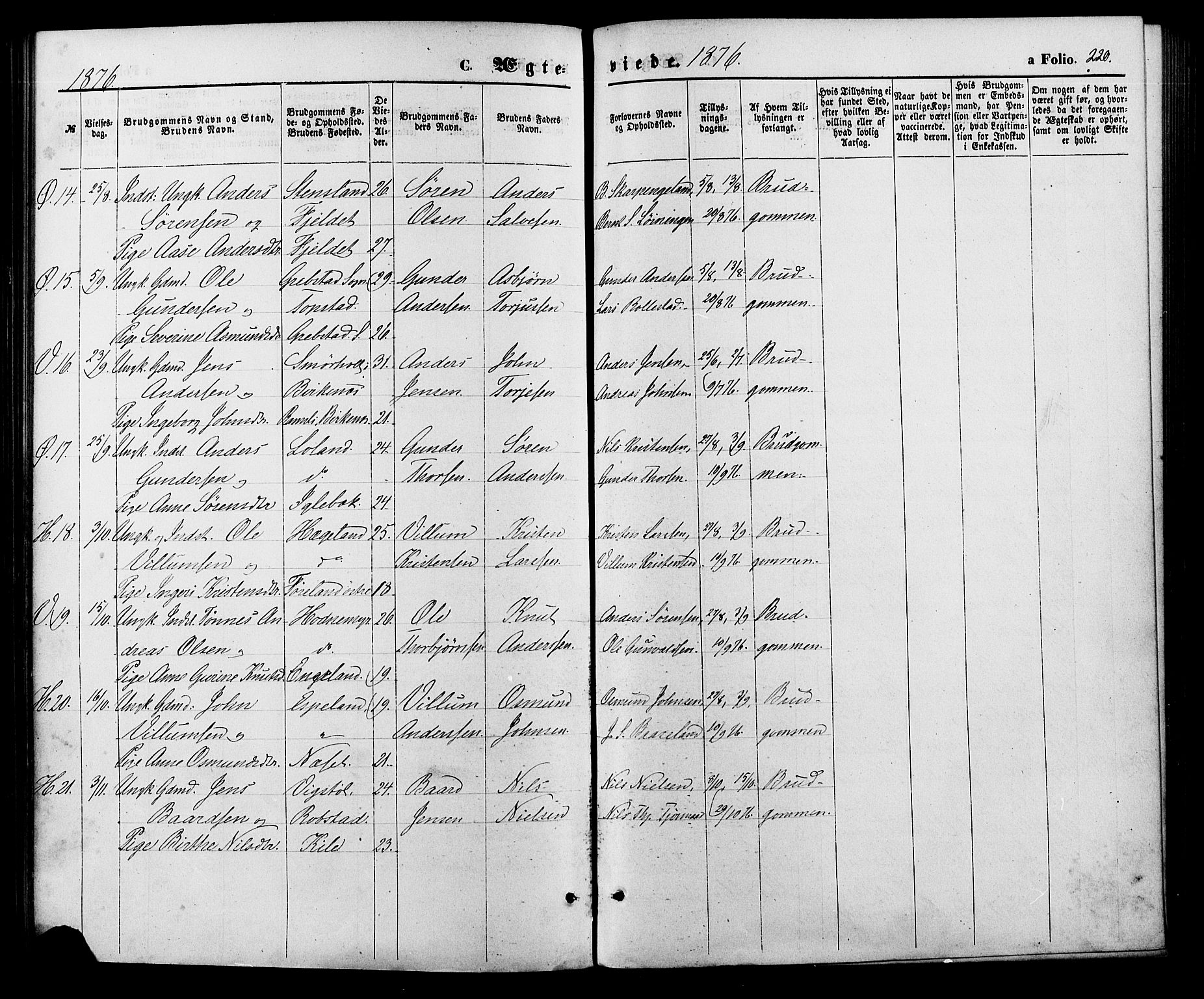 Vennesla sokneprestkontor, SAK/1111-0045/Fa/Fac/L0008: Parish register (official) no. A 8, 1874-1883, p. 220