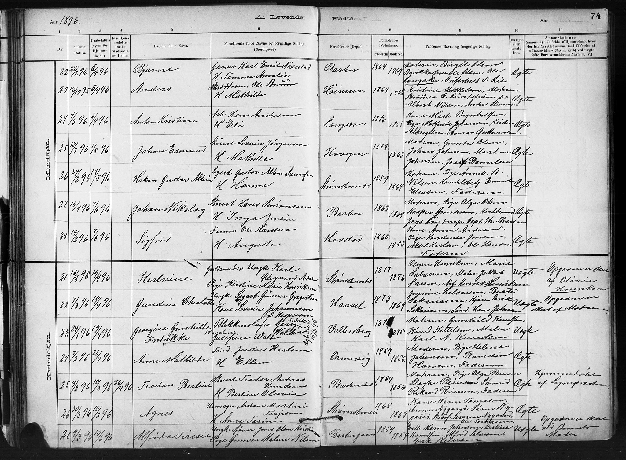 Barbu sokneprestkontor, AV/SAK-1111-0003/F/Fb/L0002: Parish register (copy) no. B 2, 1890-1922, p. 74