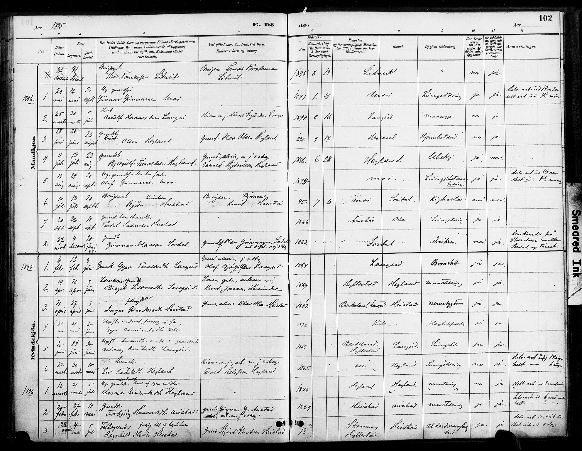 Bygland sokneprestkontor, SAK/1111-0006/F/Fa/Faa/L0001: Parish register (official) no. A 1, 1885-1908, p. 102