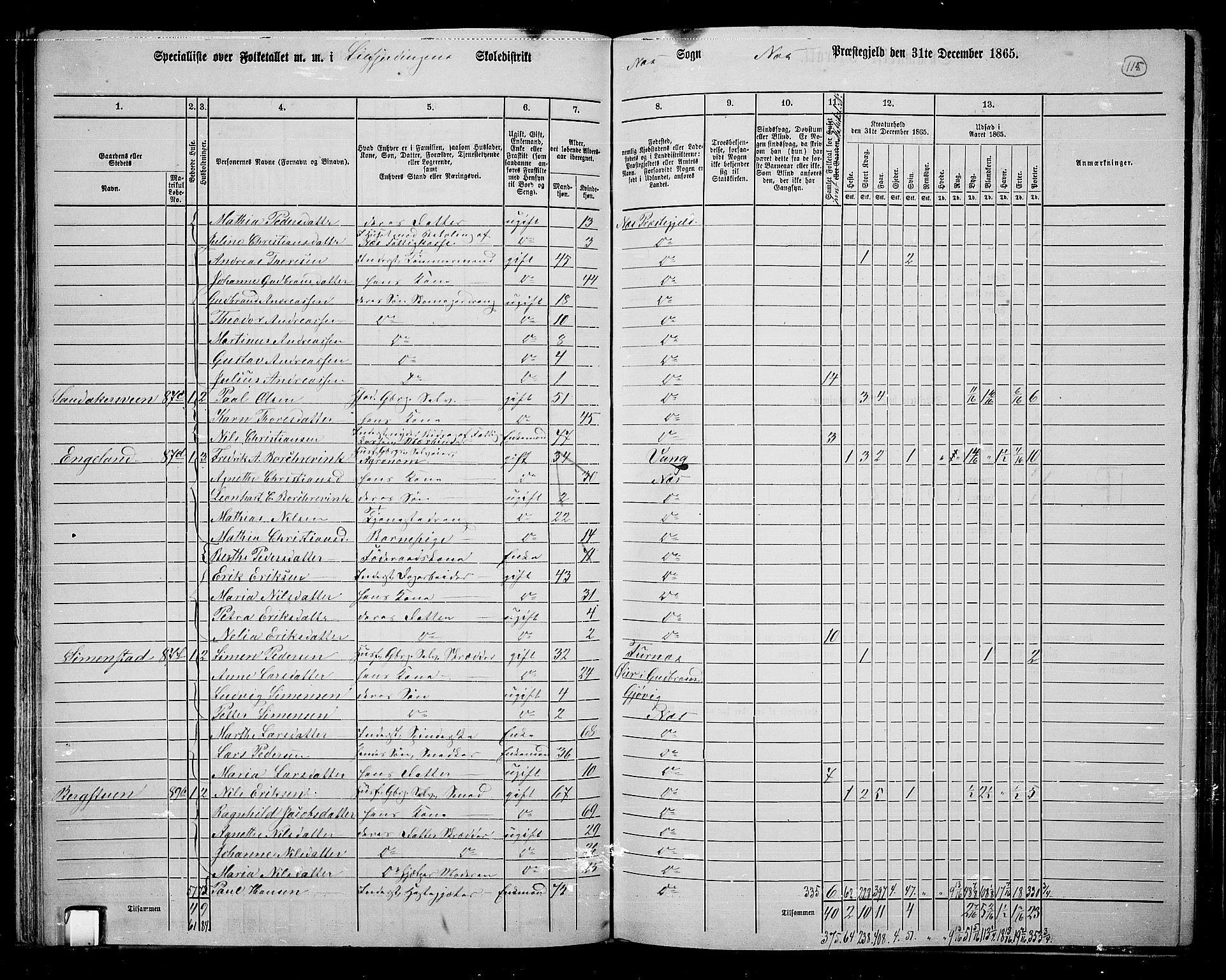 RA, 1865 census for Nes, 1865, p. 100