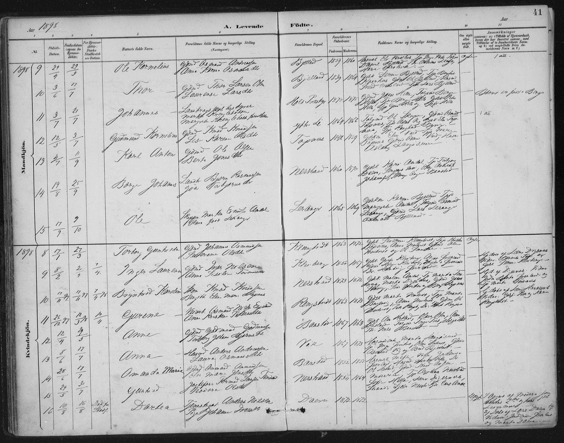 Nedstrand sokneprestkontor, AV/SAST-A-101841/01/IV: Parish register (official) no. A 12, 1887-1915, p. 41