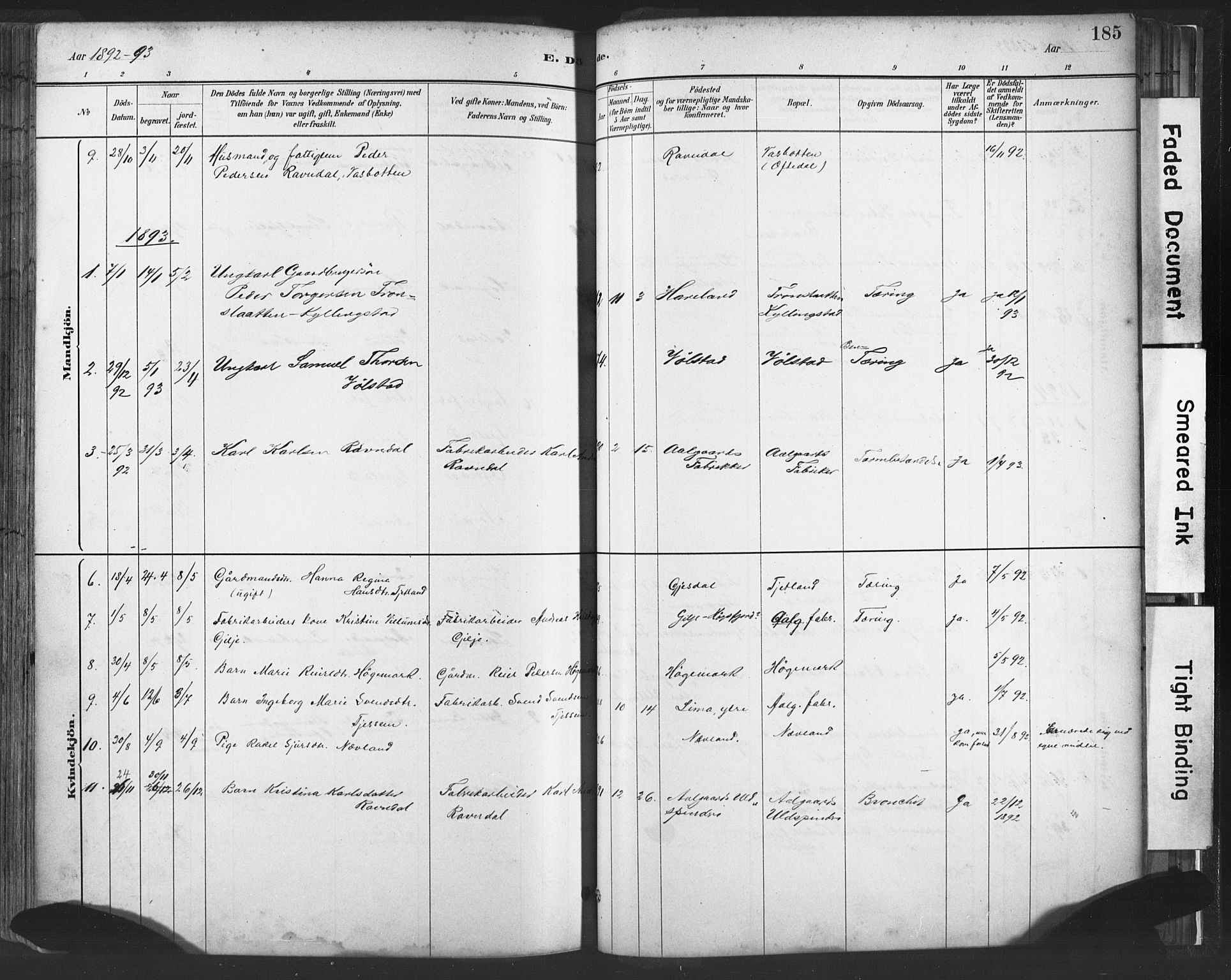 Lye sokneprestkontor, AV/SAST-A-101794/001/30BA/L0010: Parish register (official) no. A 10, 1881-1896, p. 185