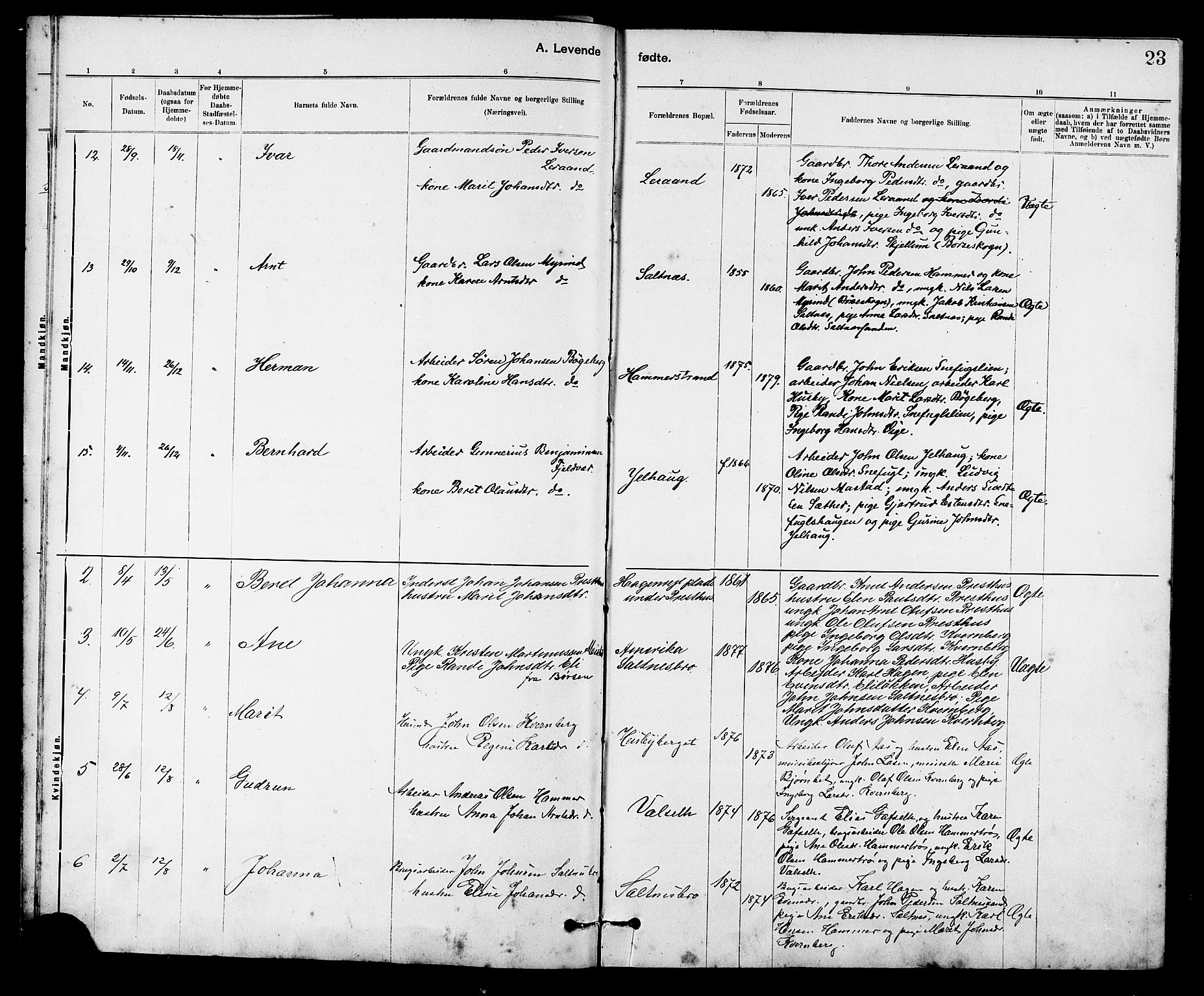 Ministerialprotokoller, klokkerbøker og fødselsregistre - Sør-Trøndelag, AV/SAT-A-1456/666/L0790: Parish register (copy) no. 666C03, 1885-1908, p. 23