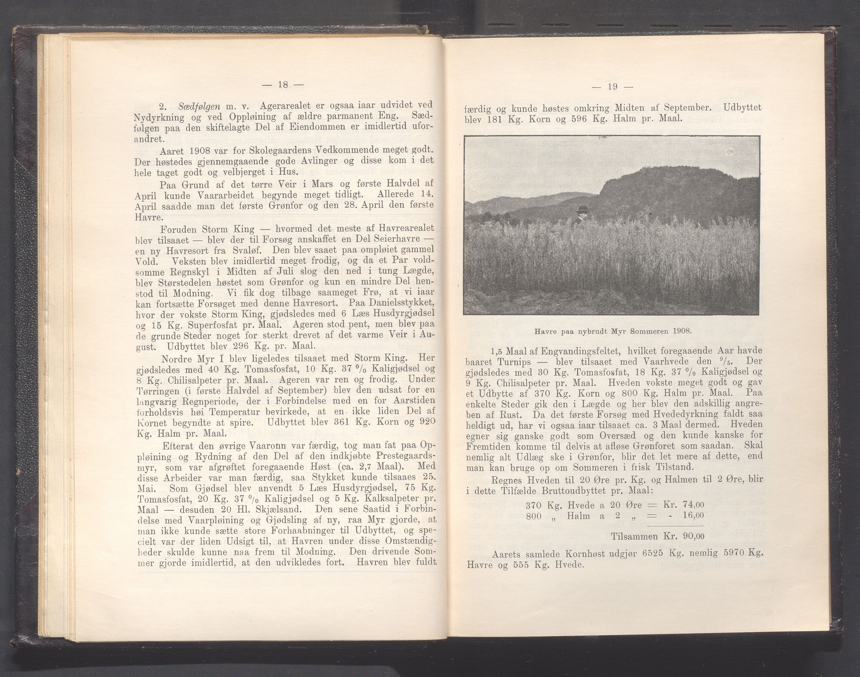 Rogaland fylkeskommune - Fylkesrådmannen , IKAR/A-900/A, 1910, p. 19