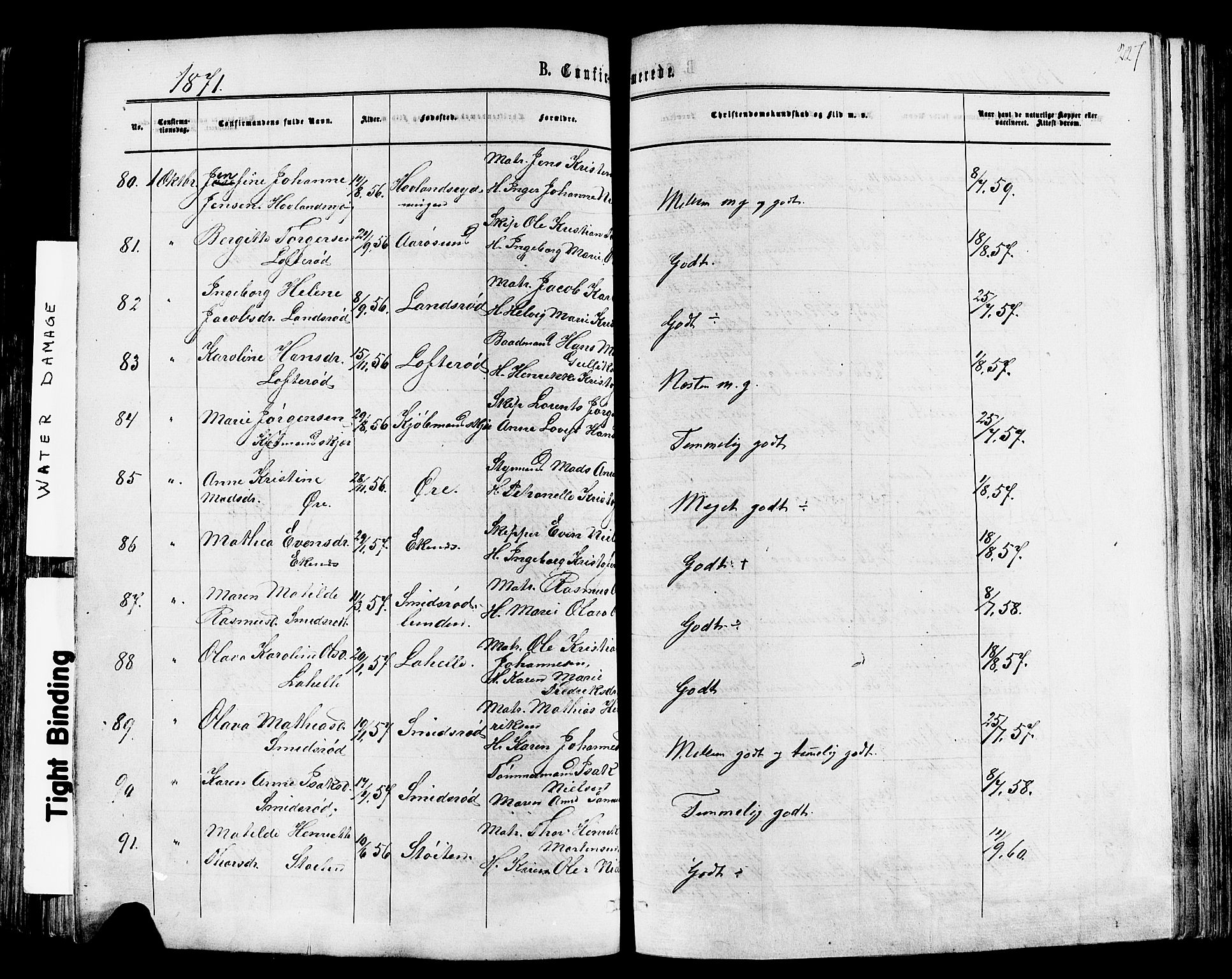 Nøtterøy kirkebøker, AV/SAKO-A-354/F/Fa/L0007: Parish register (official) no. I 7, 1865-1877, p. 227