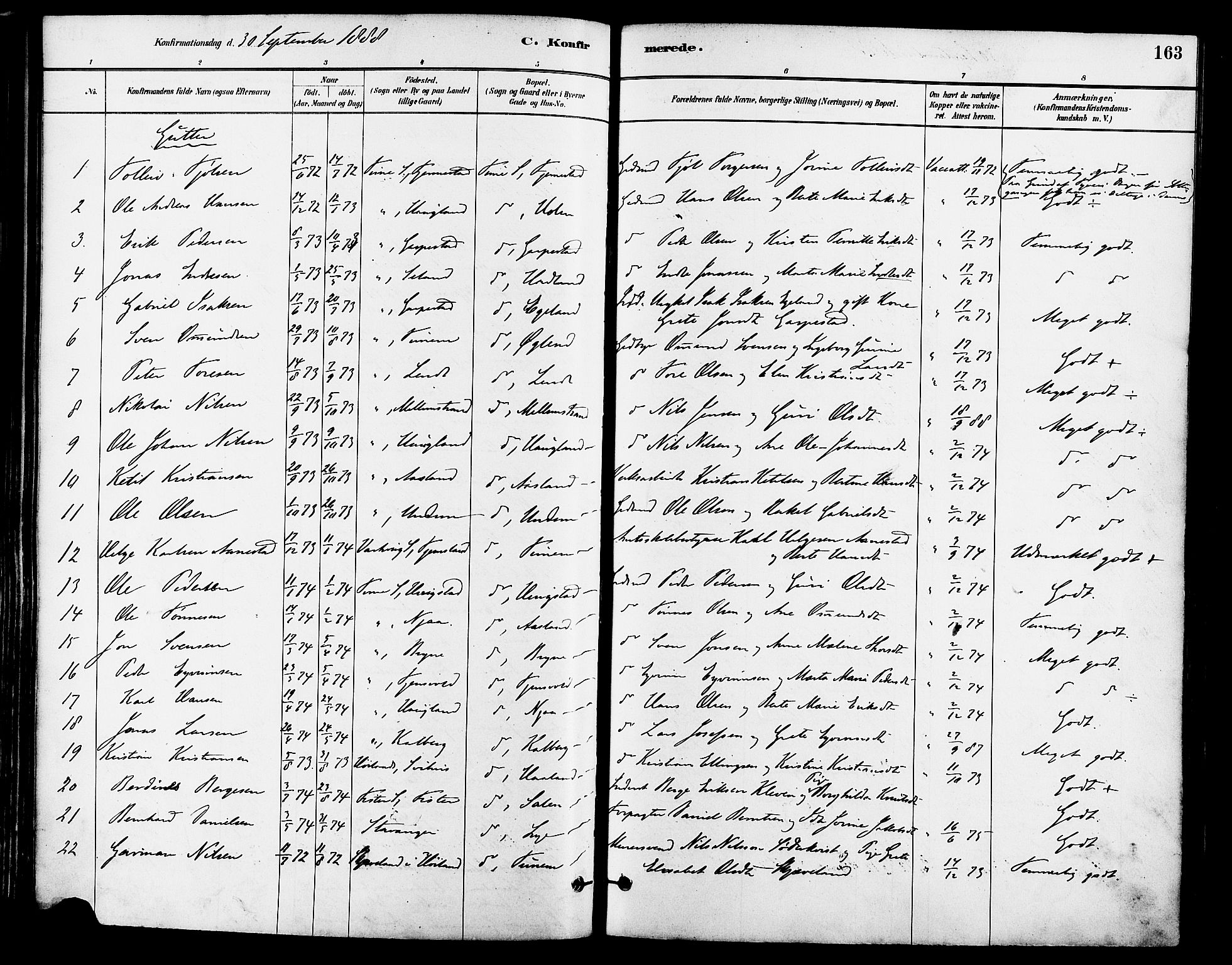 Lye sokneprestkontor, SAST/A-101794/001/30BA/L0009: Parish register (official) no. A 8, 1881-1892, p. 163