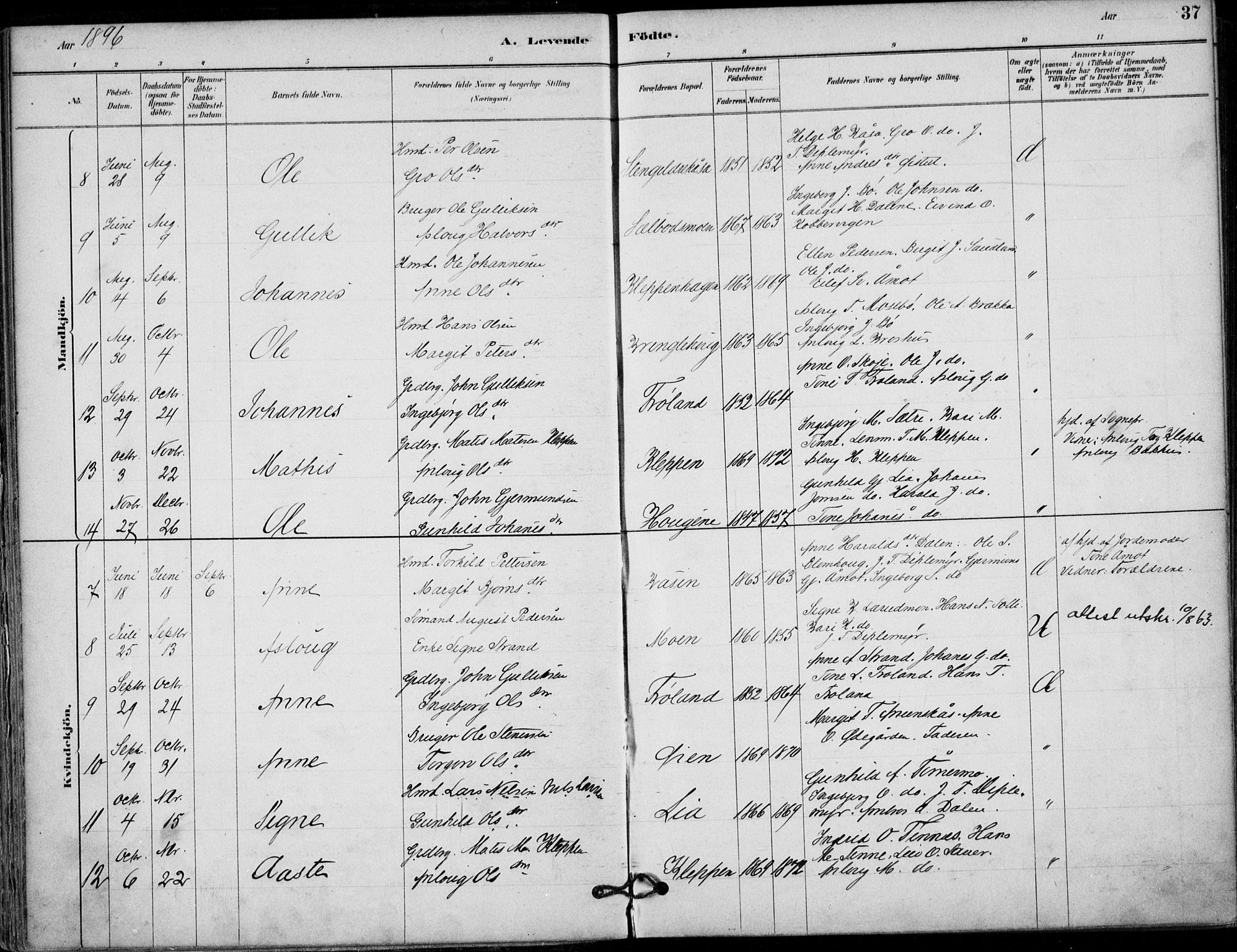 Hjartdal kirkebøker, AV/SAKO-A-270/F/Fb/L0002: Parish register (official) no. II 2, 1880-1932, p. 37