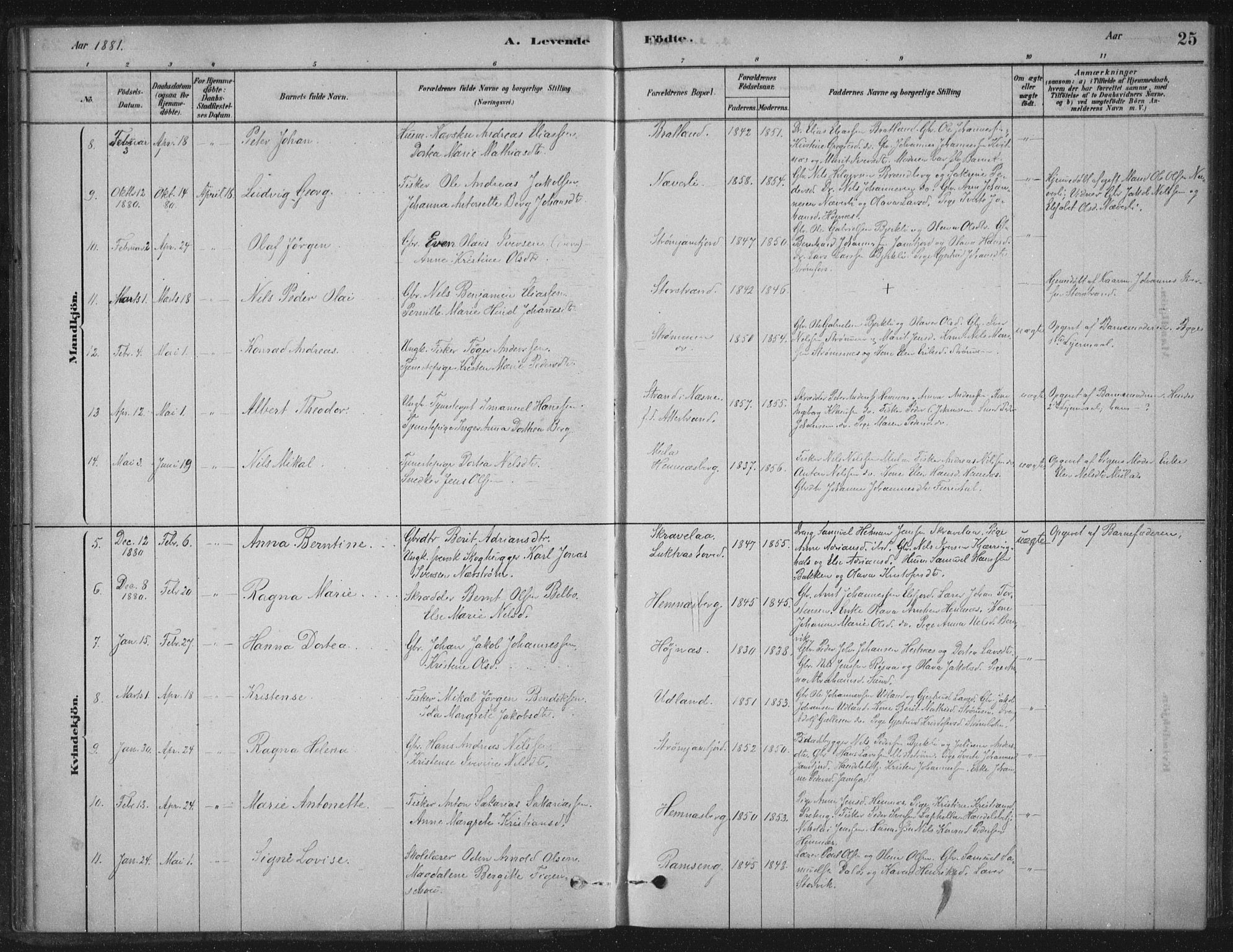 Ministerialprotokoller, klokkerbøker og fødselsregistre - Nordland, AV/SAT-A-1459/825/L0361: Parish register (official) no. 825A15, 1878-1893, p. 25