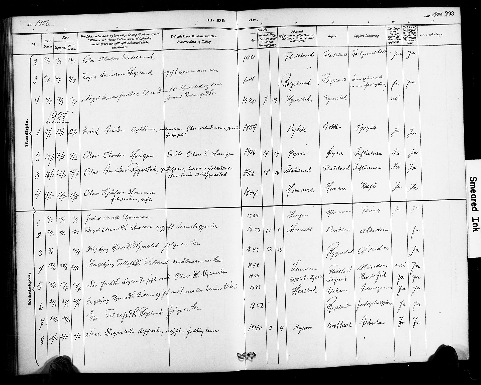 Valle sokneprestkontor, SAK/1111-0044/F/Fb/Fbc/L0004: Parish register (copy) no. B 4, 1890-1928, p. 293