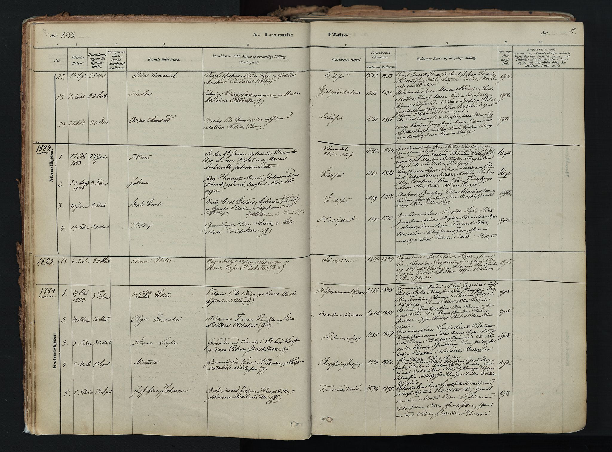 Hof kirkebøker, SAKO/A-64/F/Fa/L0007: Parish register (official) no. I 7, 1878-1940, p. 24