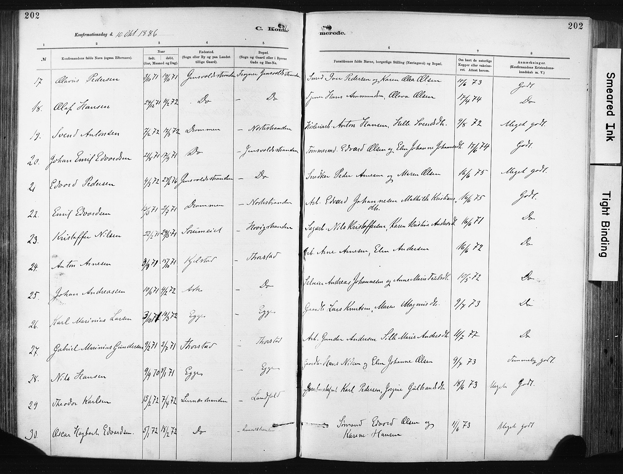 Lier kirkebøker, SAKO/A-230/F/Fa/L0015: Parish register (official) no. I 15, 1883-1894, p. 202