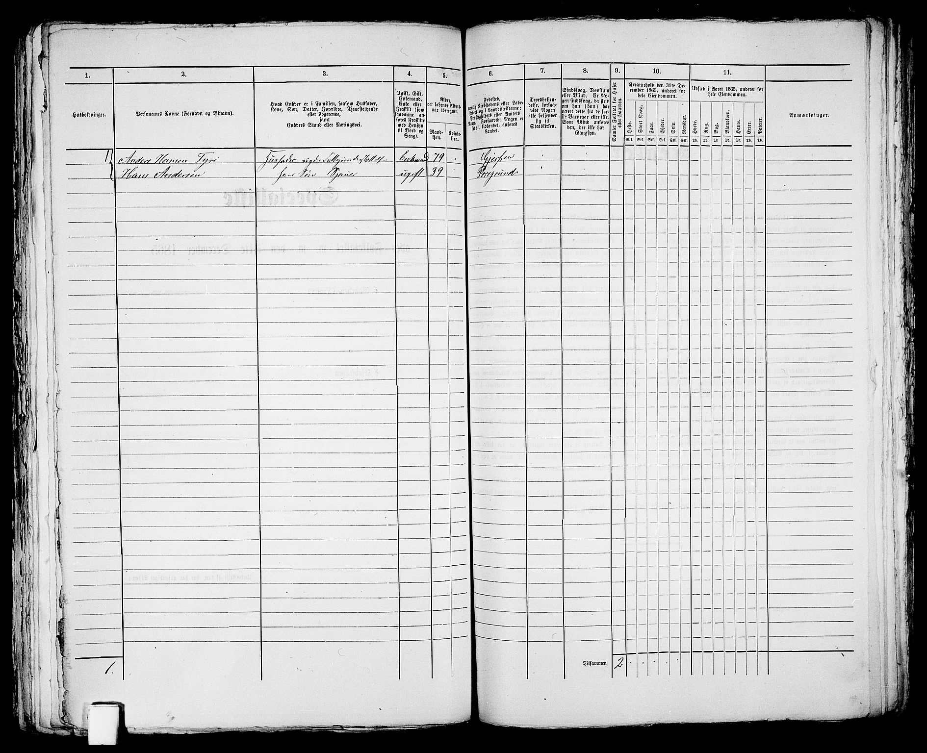 RA, 1865 census for Skien, 1865, p. 1062