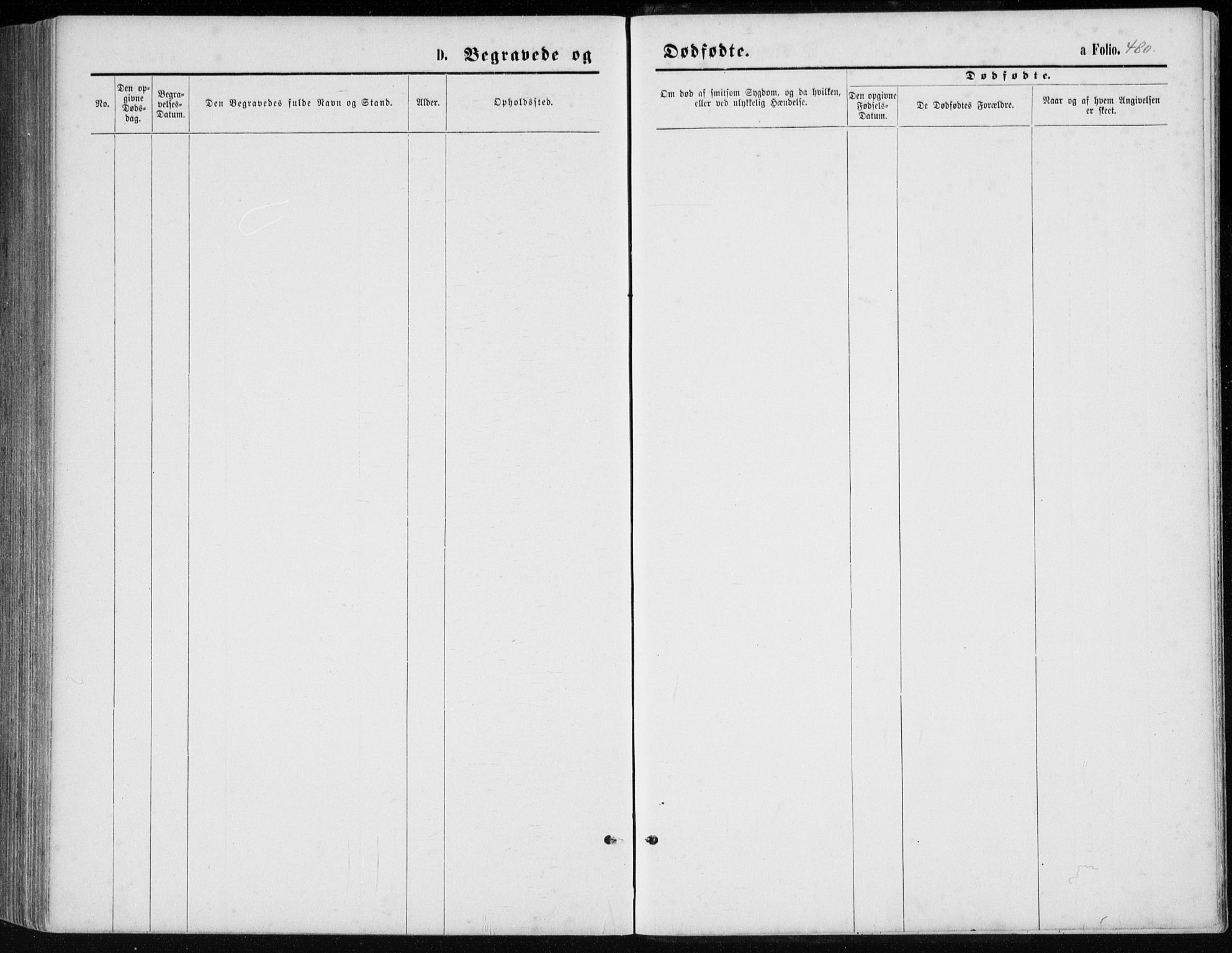 Lista sokneprestkontor, AV/SAK-1111-0027/F/Fb/L0004: Parish register (copy) no. B 4, 1877-1891, p. 480