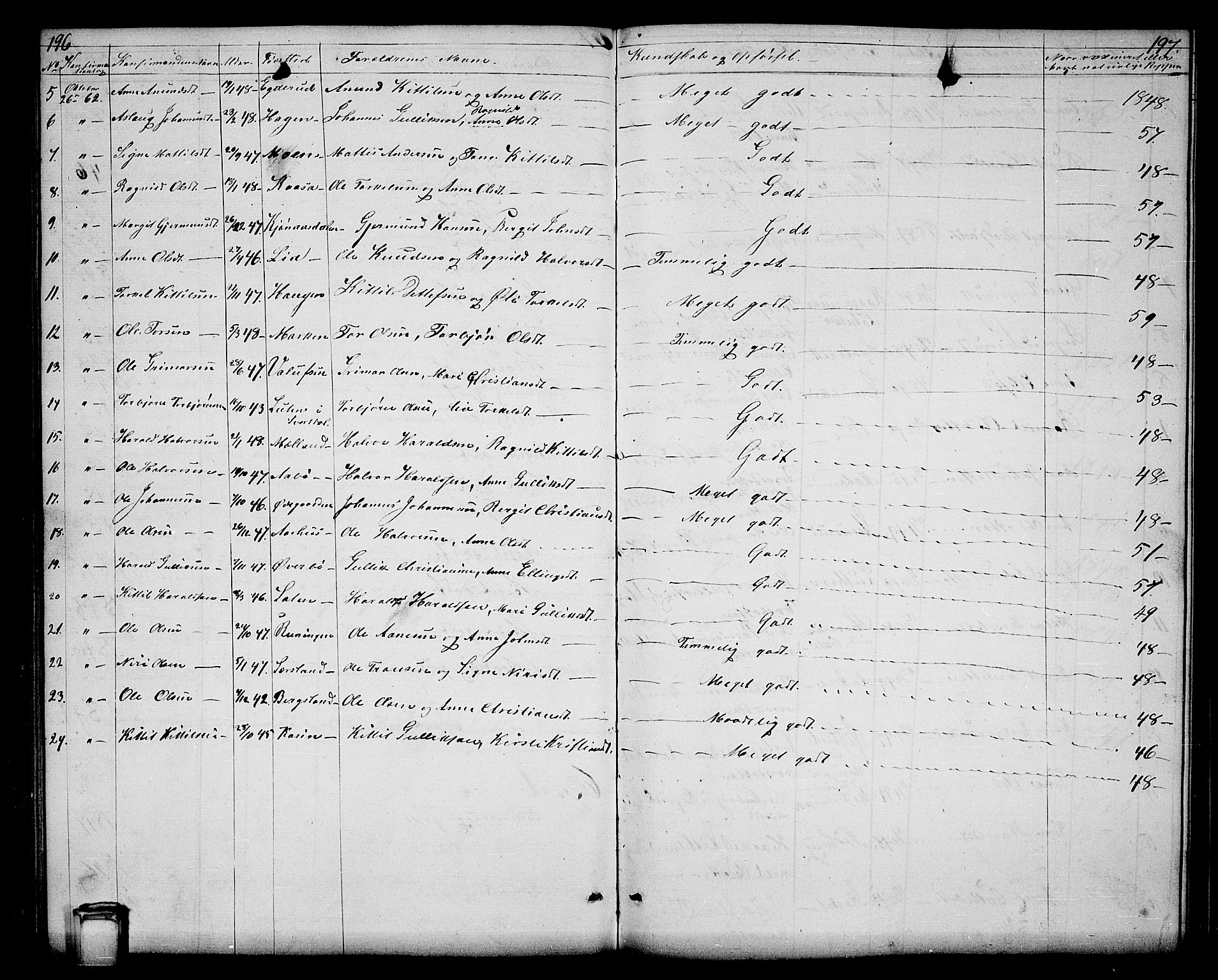 Hjartdal kirkebøker, SAKO/A-270/G/Ga/L0002: Parish register (copy) no. I 2, 1854-1888, p. 196-197