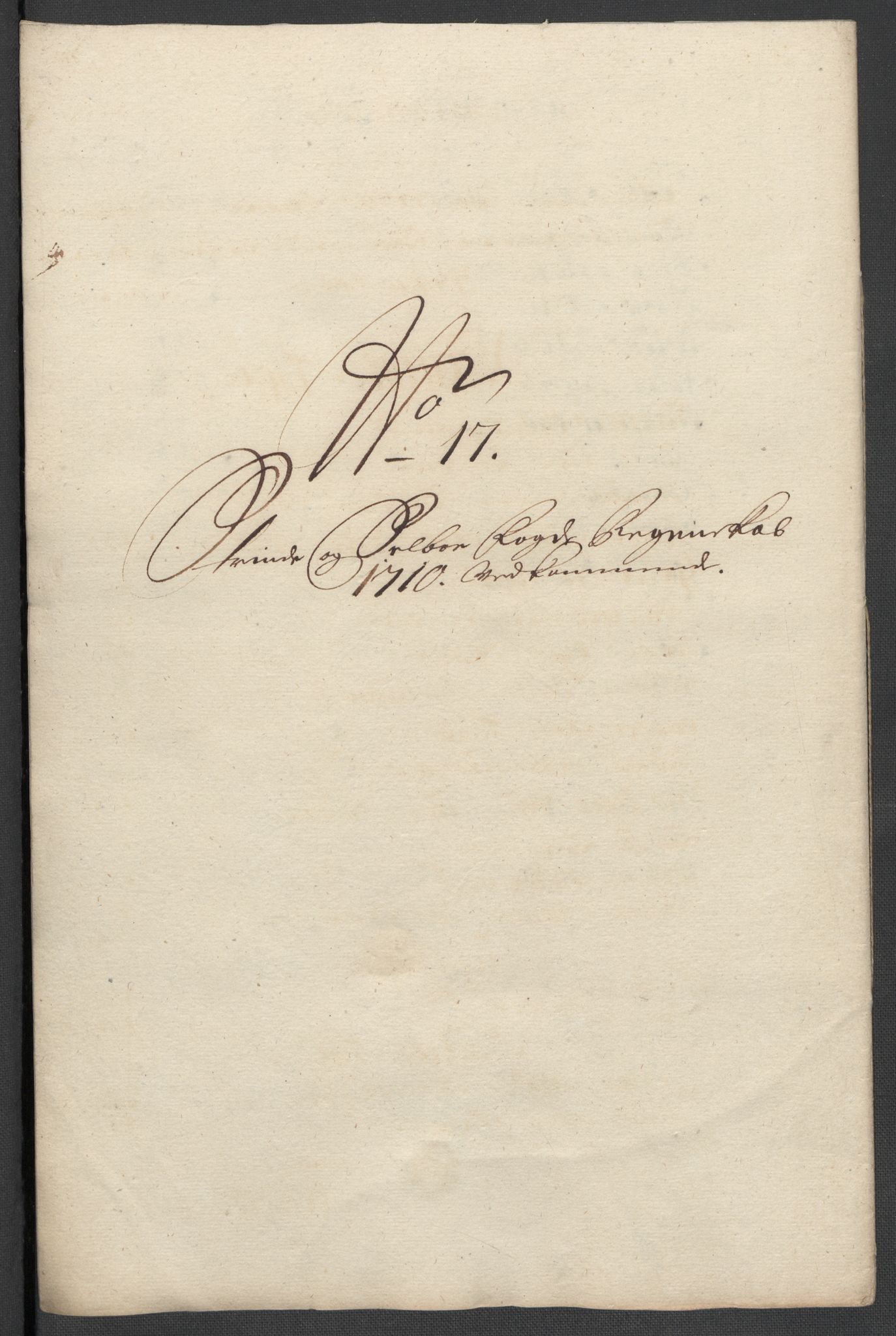 Rentekammeret inntil 1814, Reviderte regnskaper, Fogderegnskap, RA/EA-4092/R61/L4111: Fogderegnskap Strinda og Selbu, 1709-1710, p. 463