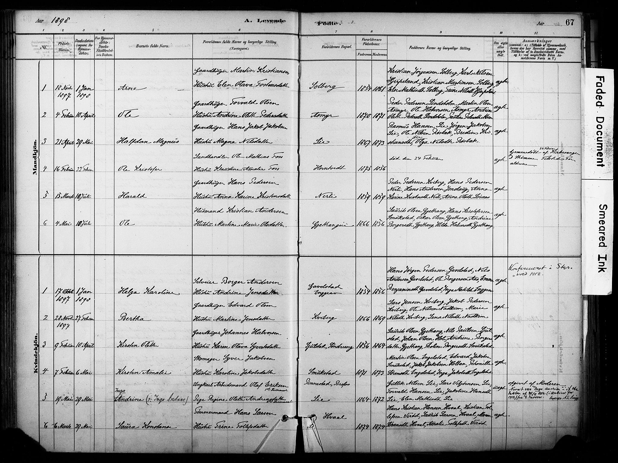 Lardal kirkebøker, AV/SAKO-A-350/F/Fb/L0001: Parish register (official) no. II 1, 1881-1911, p. 67